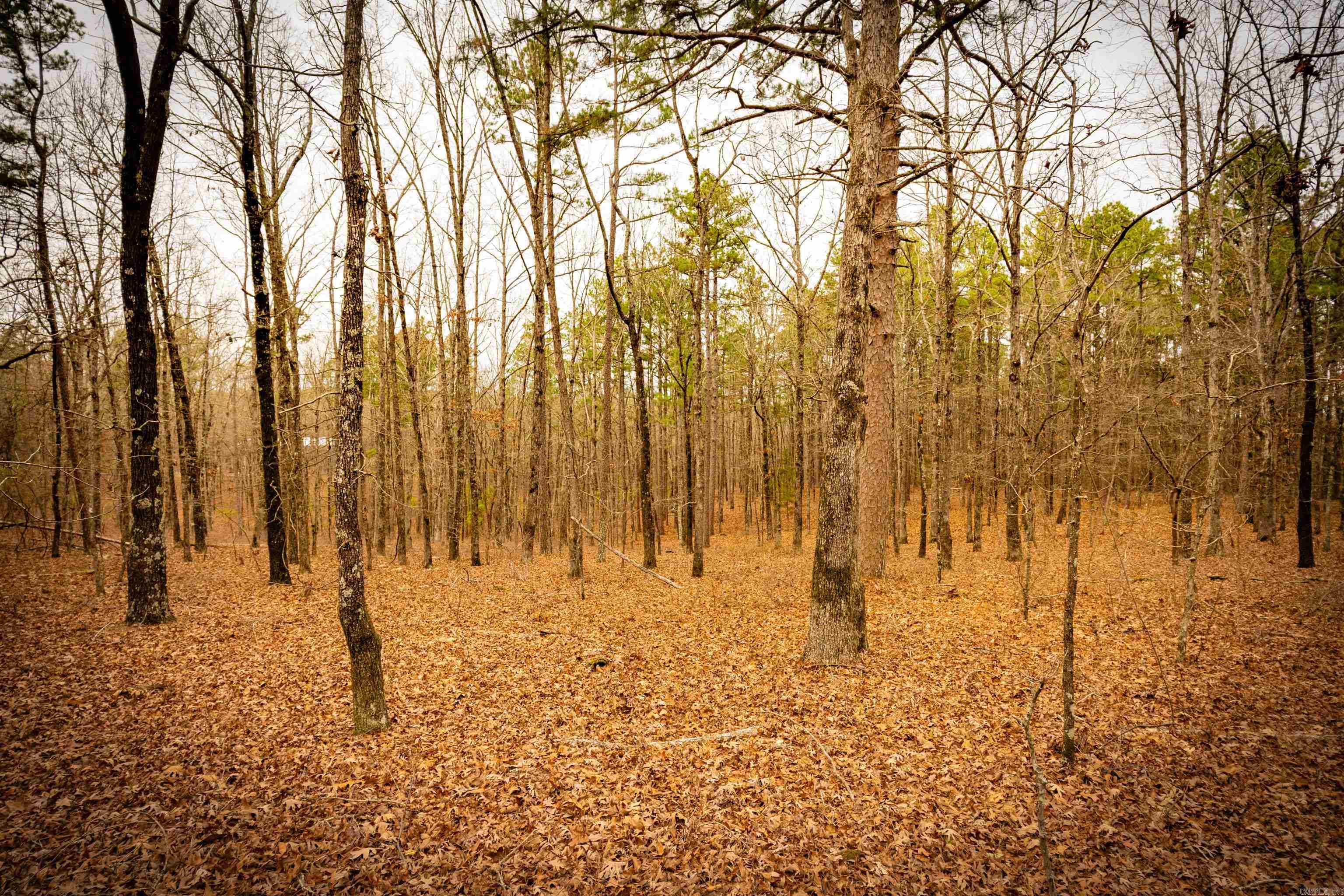 00 Heather Ridge  Bigelow, AR