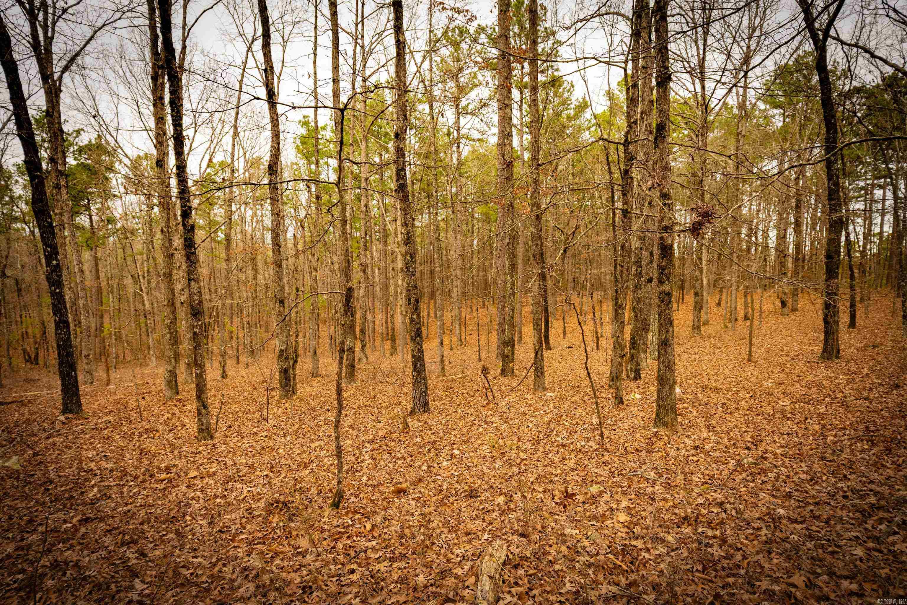 00 Heather Ridge  Bigelow, AR