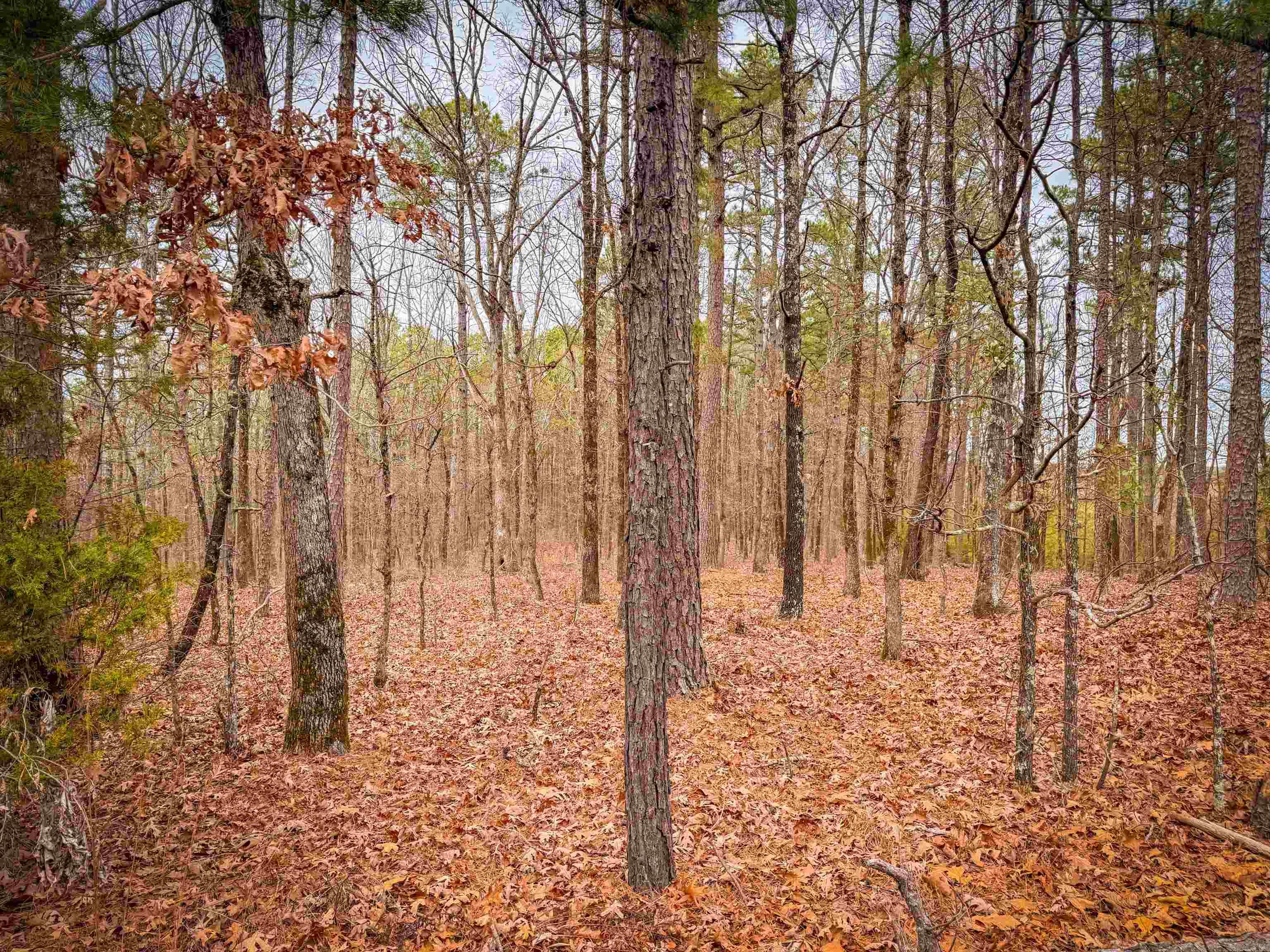 00 Heather Ridge  Bigelow, AR