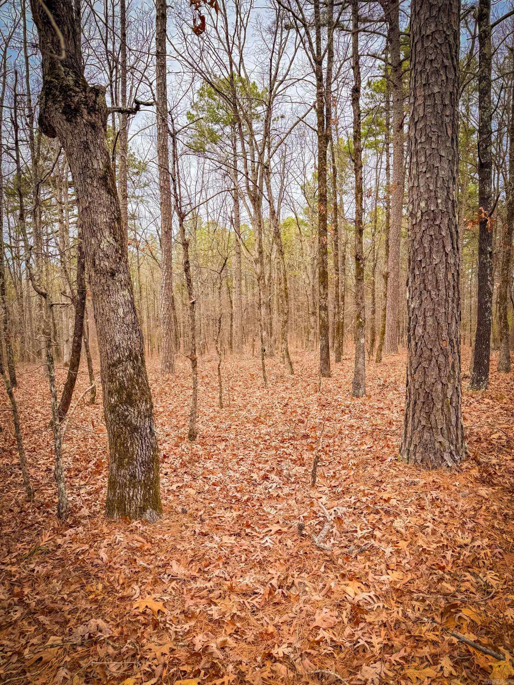 00 Heather Ridge  Bigelow, AR