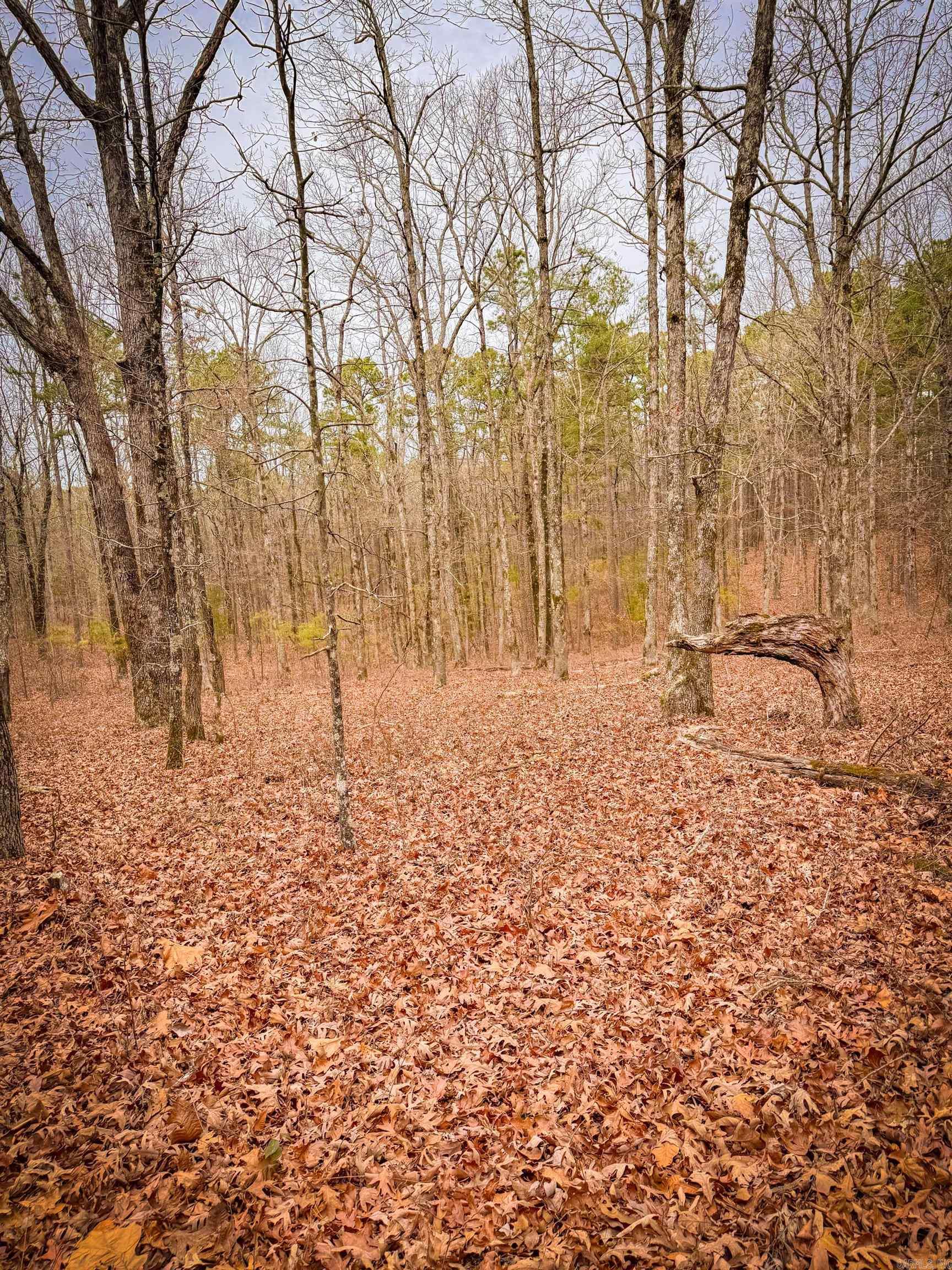 00 Heather Ridge  Bigelow, AR