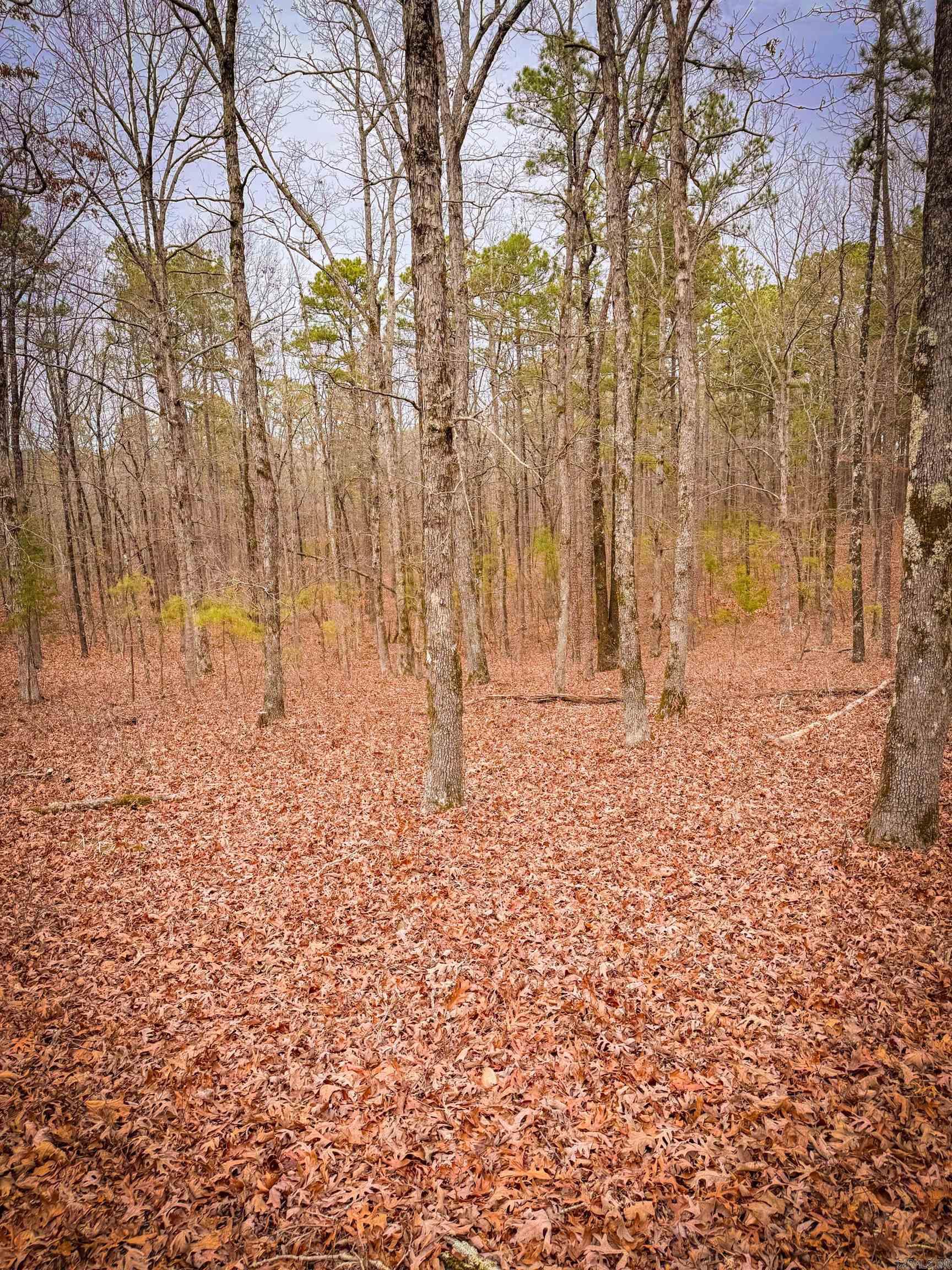 00 Heather Ridge  Bigelow, AR