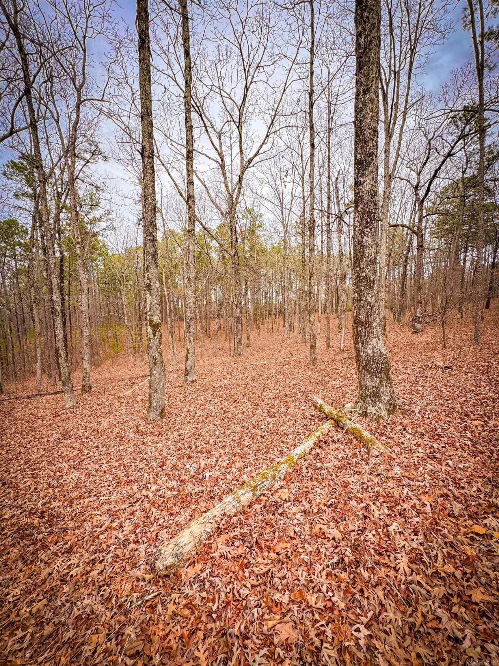 00 Heather Ridge  Bigelow, AR