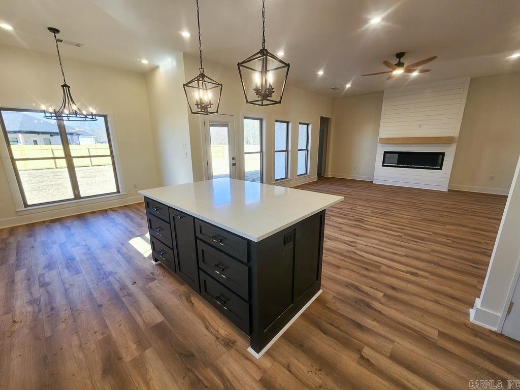 31 Dandelion Drive  Greenbrier, AR