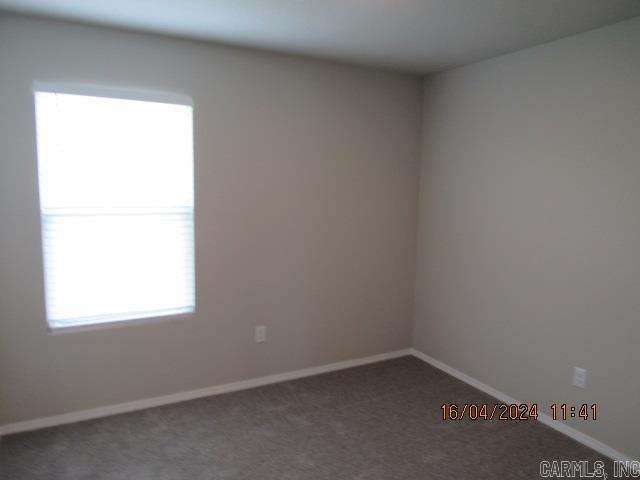 33 Curly Leaf Lane  Conway, AR