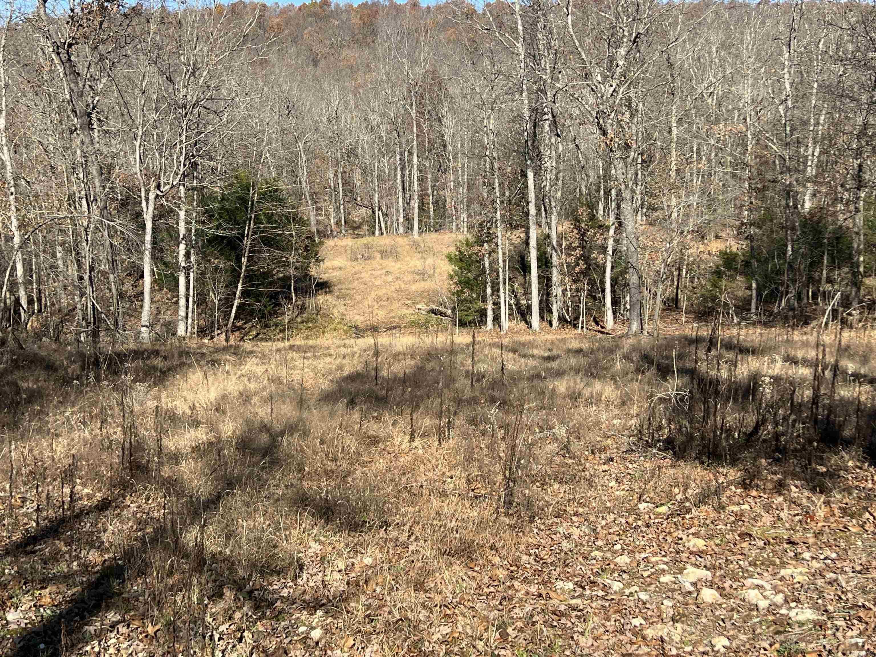 566 Bethany  Ravenden, AR