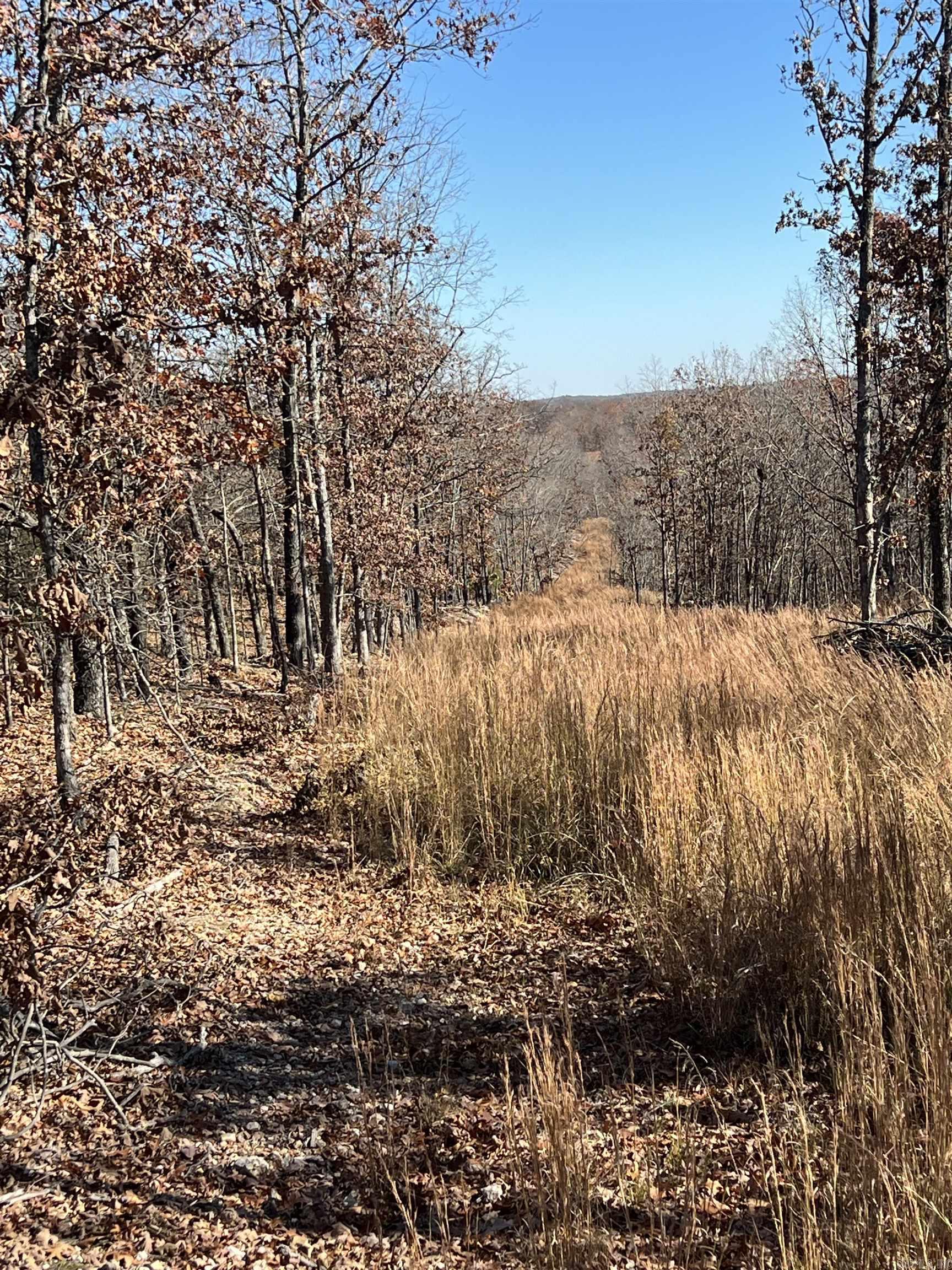 566 Bethany  Ravenden, AR