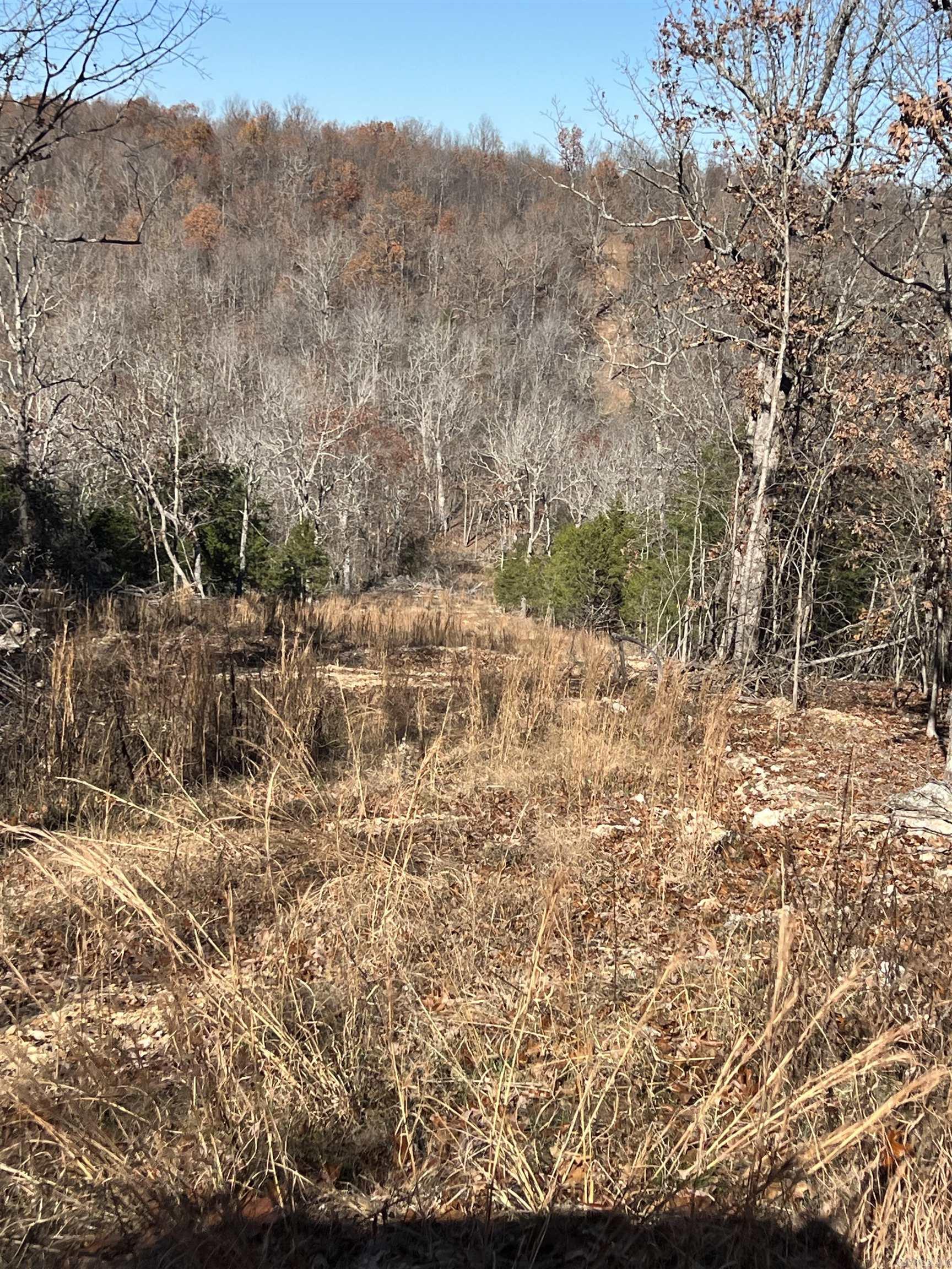 566 Bethany  Ravenden, AR