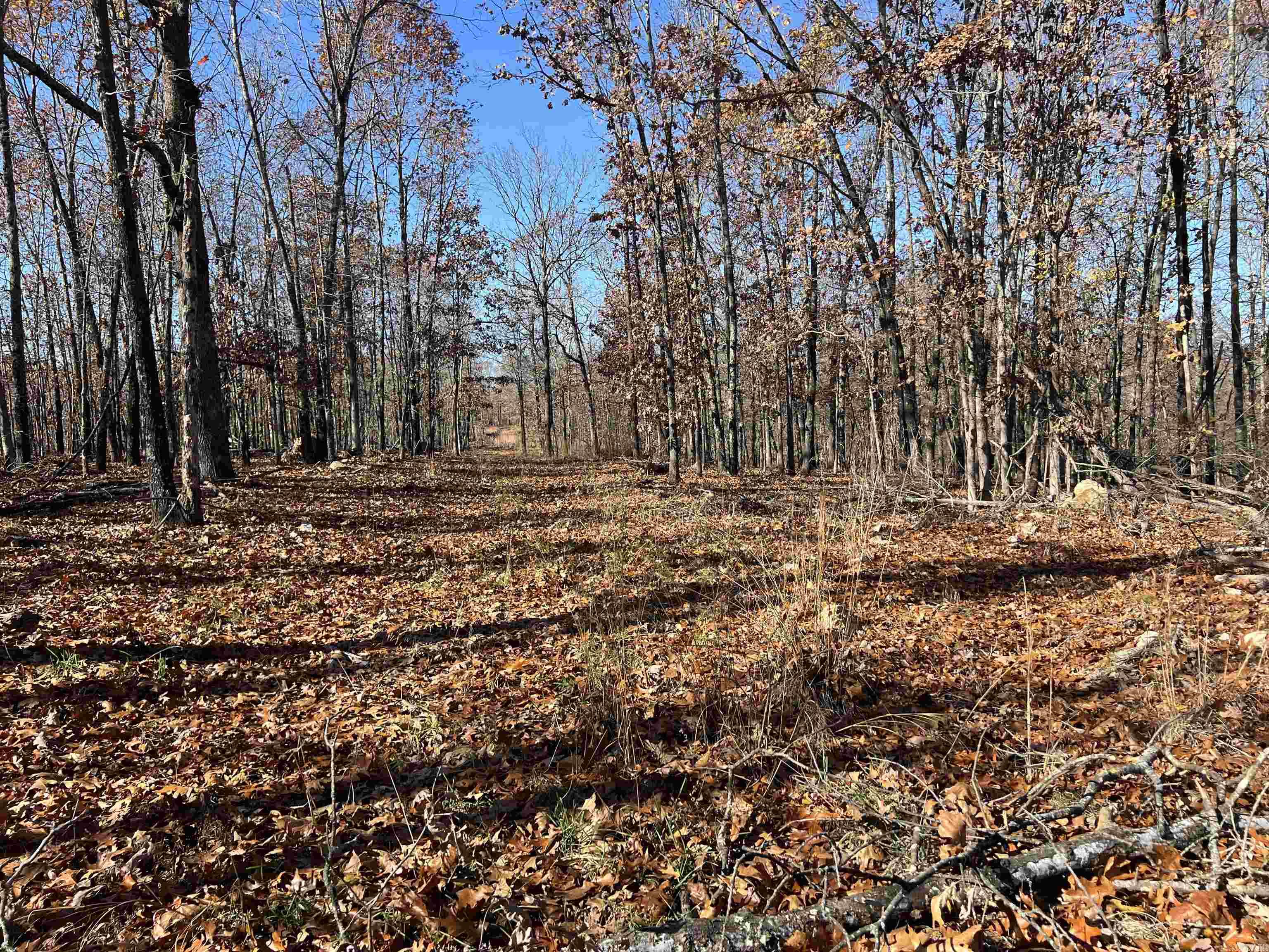 566 Bethany  Ravenden, AR