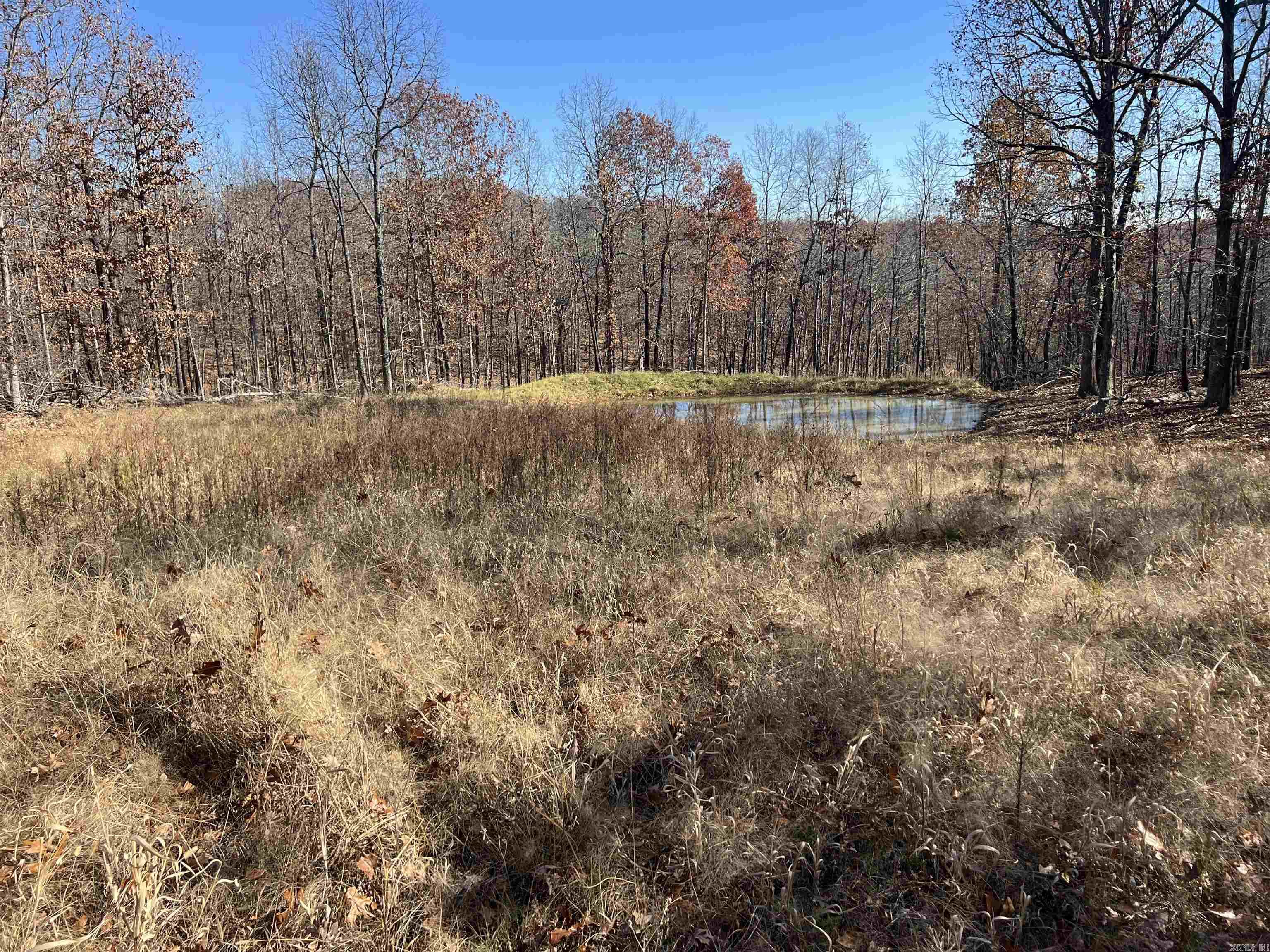 566 Bethany  Ravenden, AR