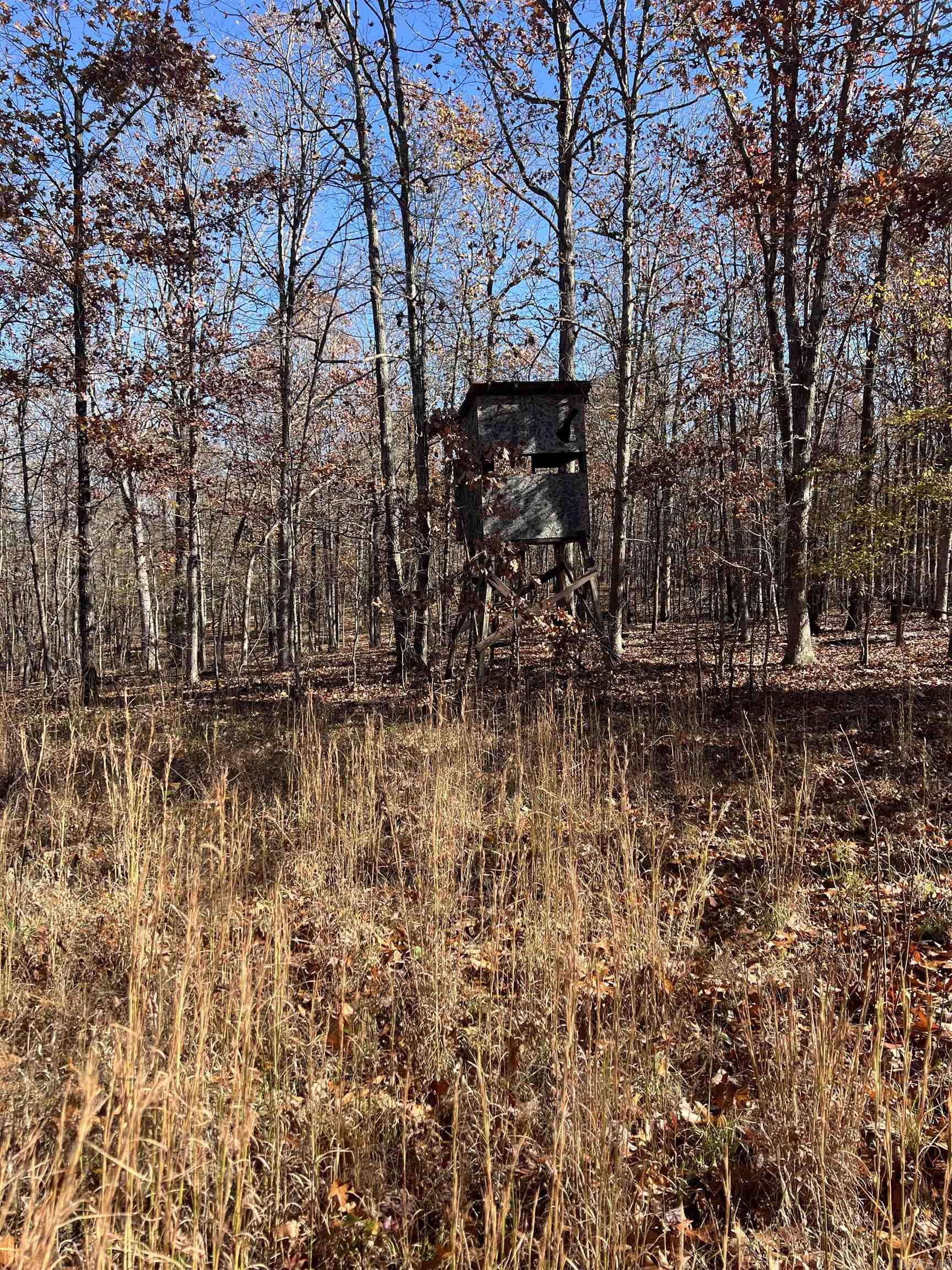 566 Bethany  Ravenden, AR