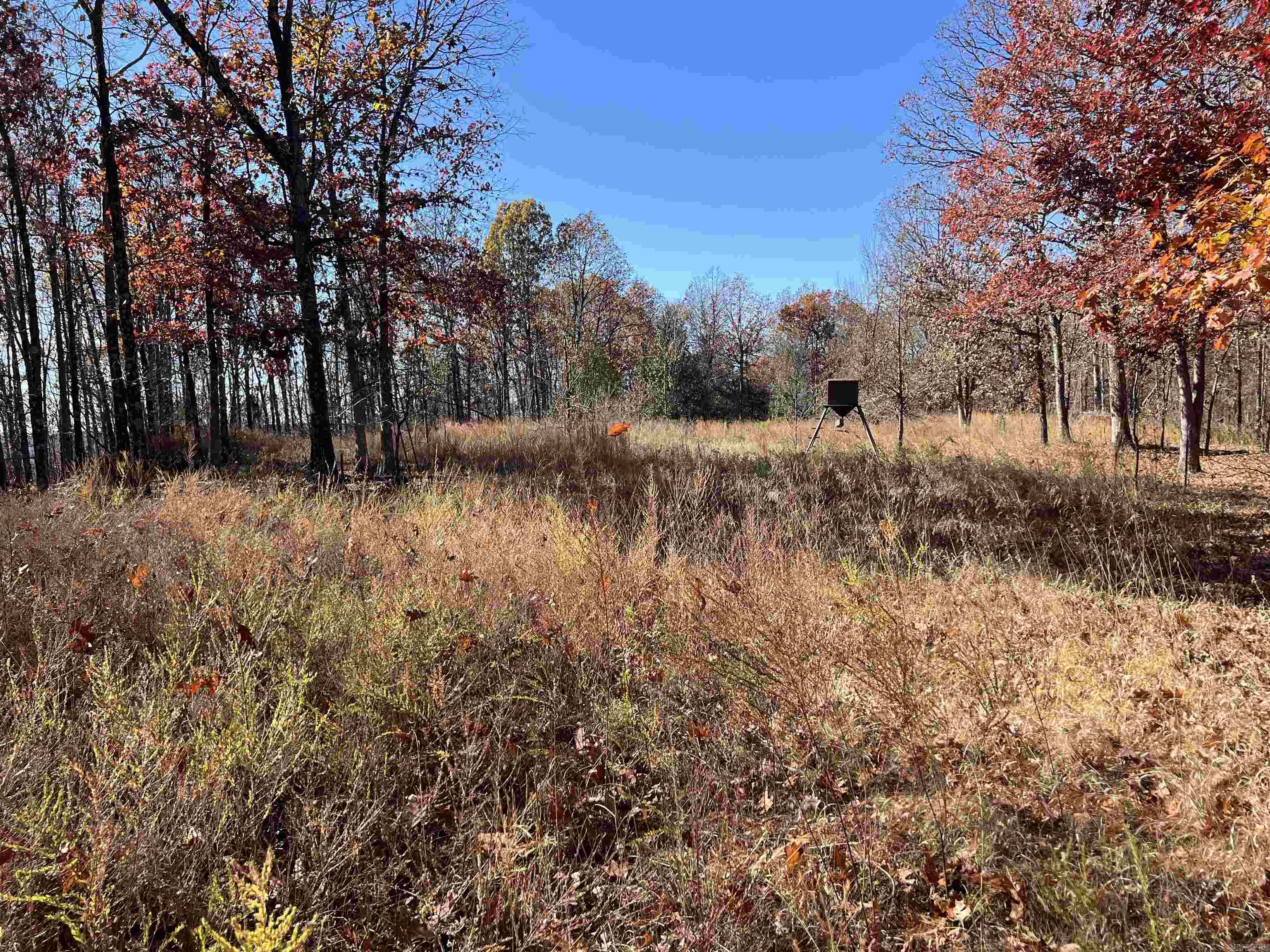 566 Bethany  Ravenden, AR