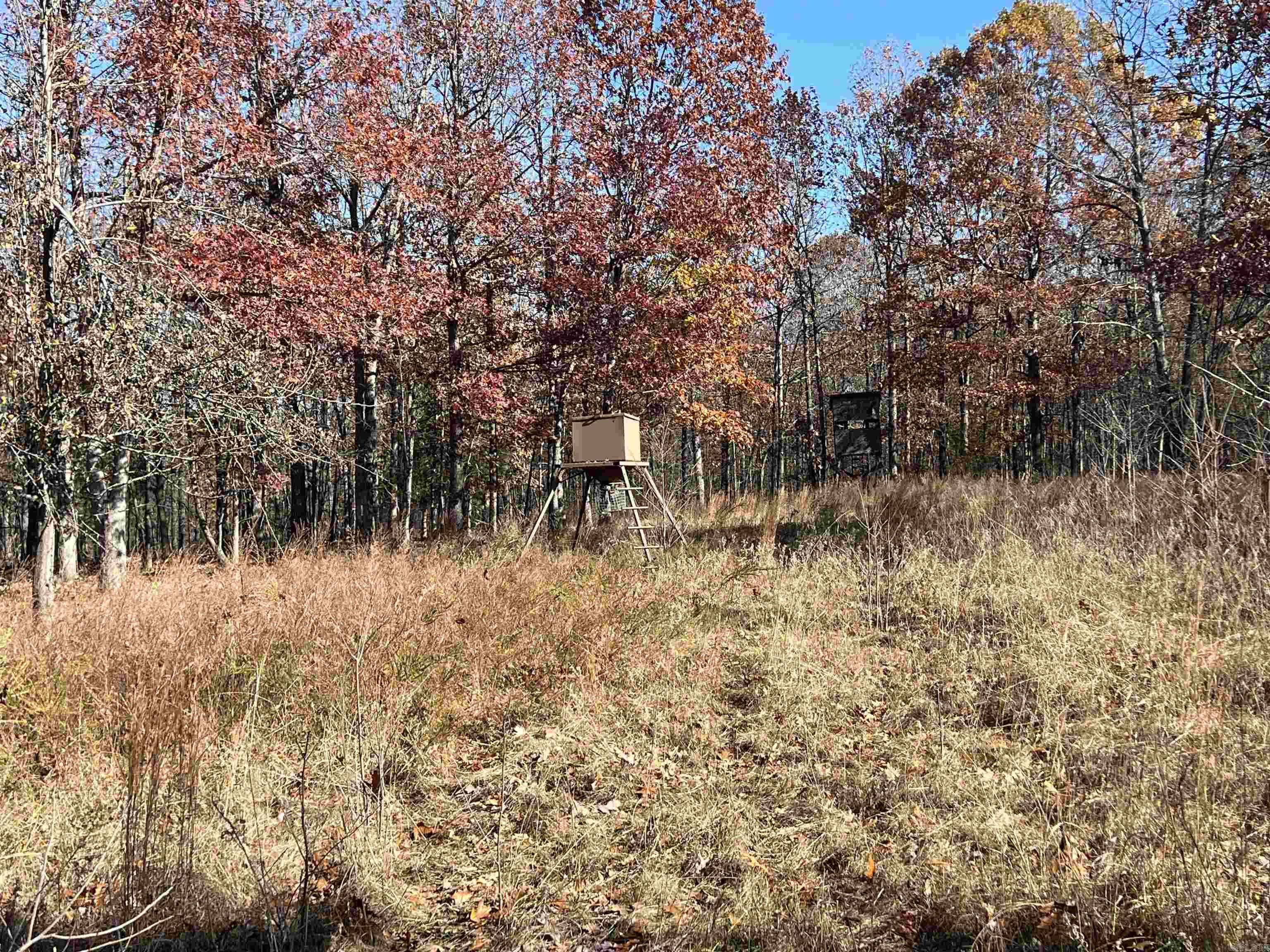 566 Bethany  Ravenden, AR