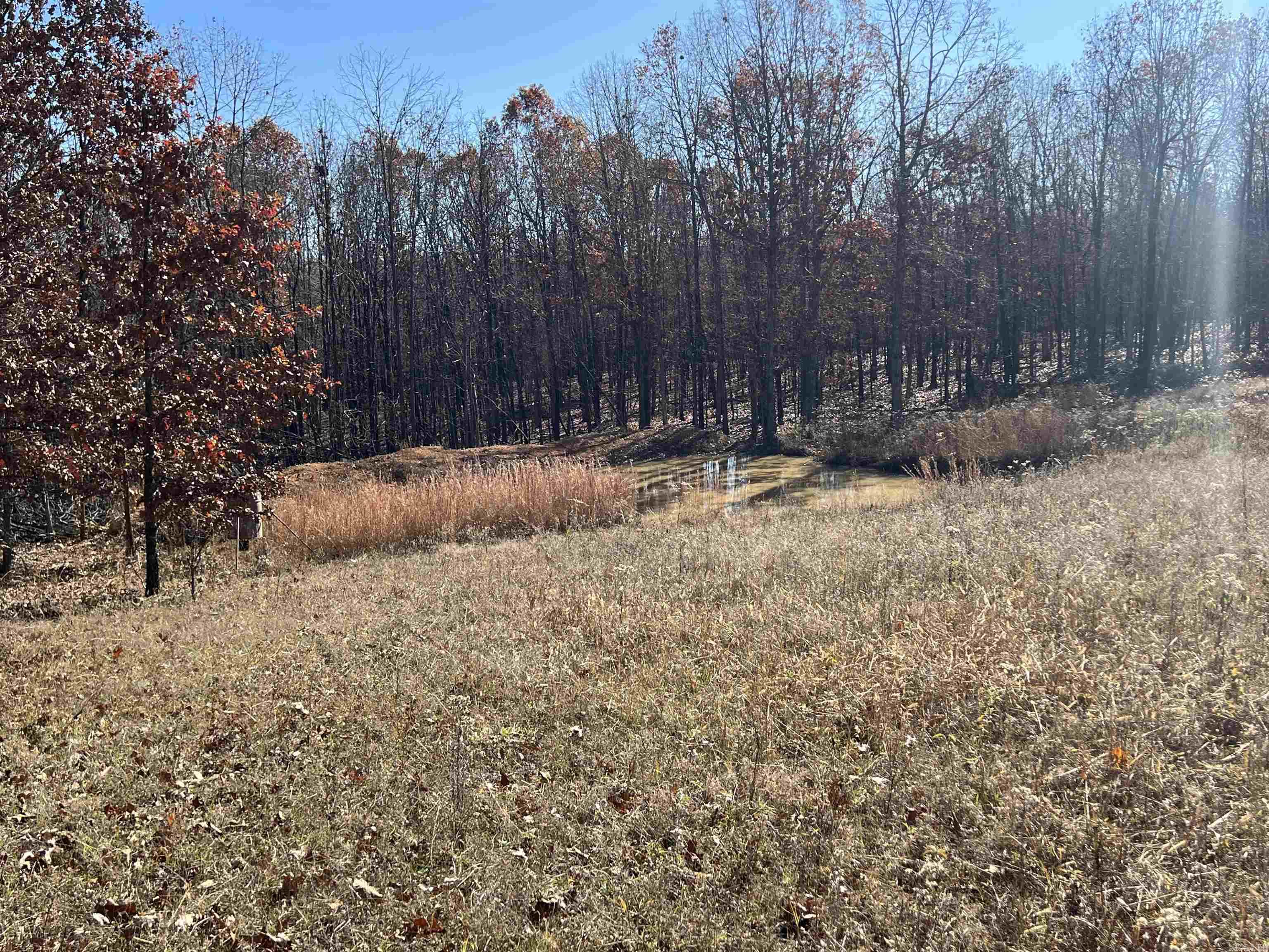 566 Bethany  Ravenden, AR