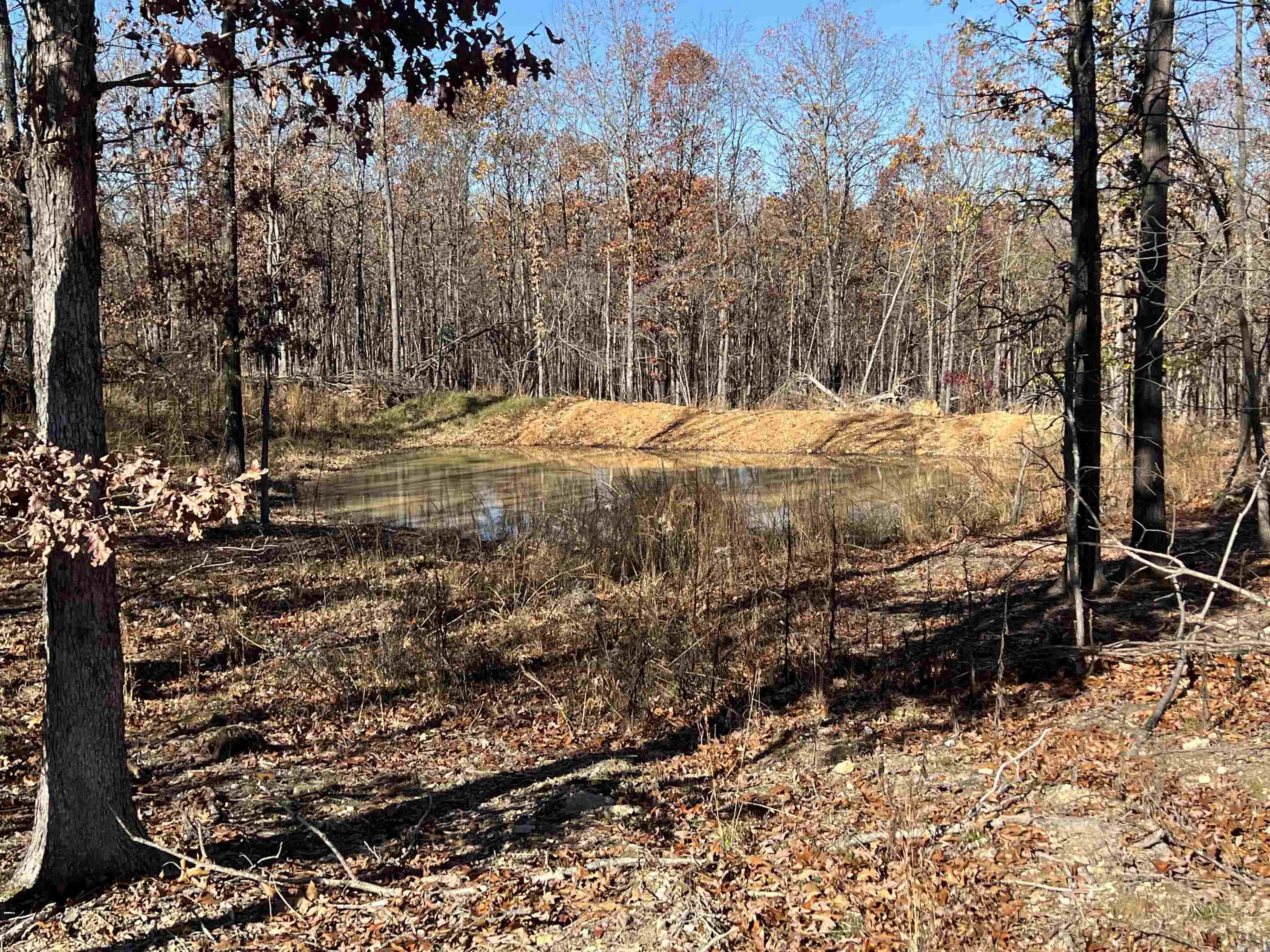 566 Bethany  Ravenden, AR