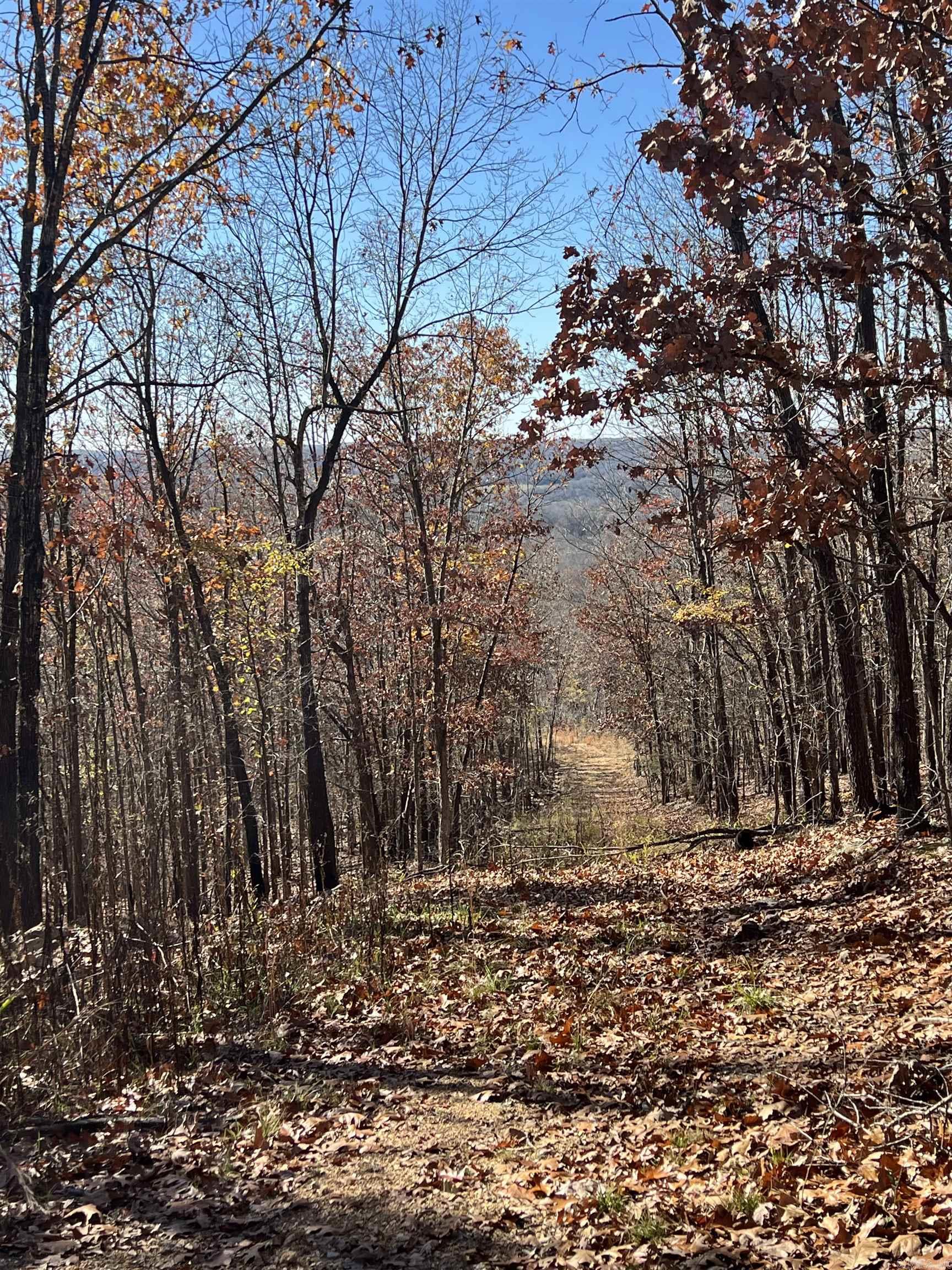 566 Bethany  Ravenden, AR