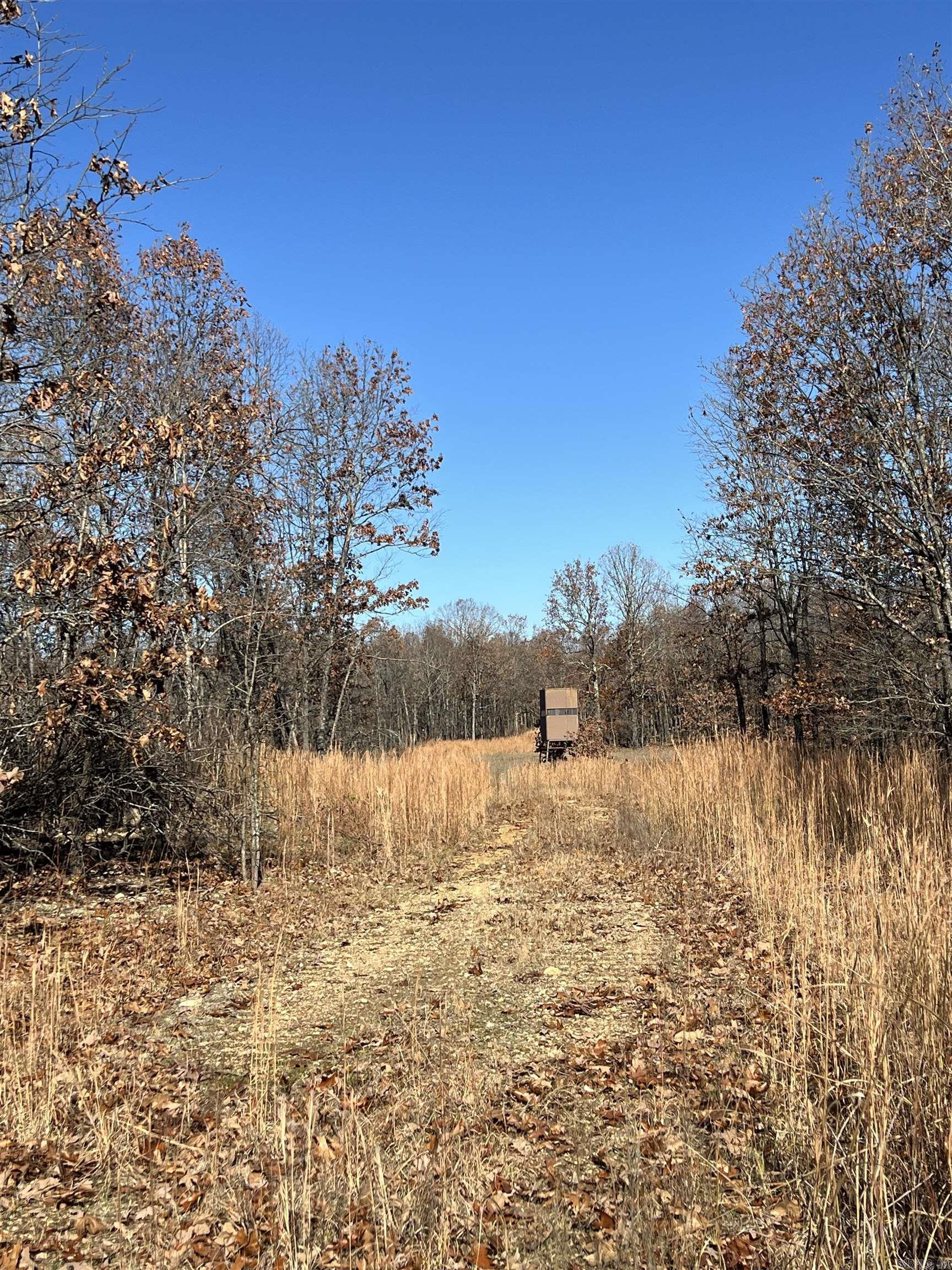 566 Bethany  Ravenden, AR