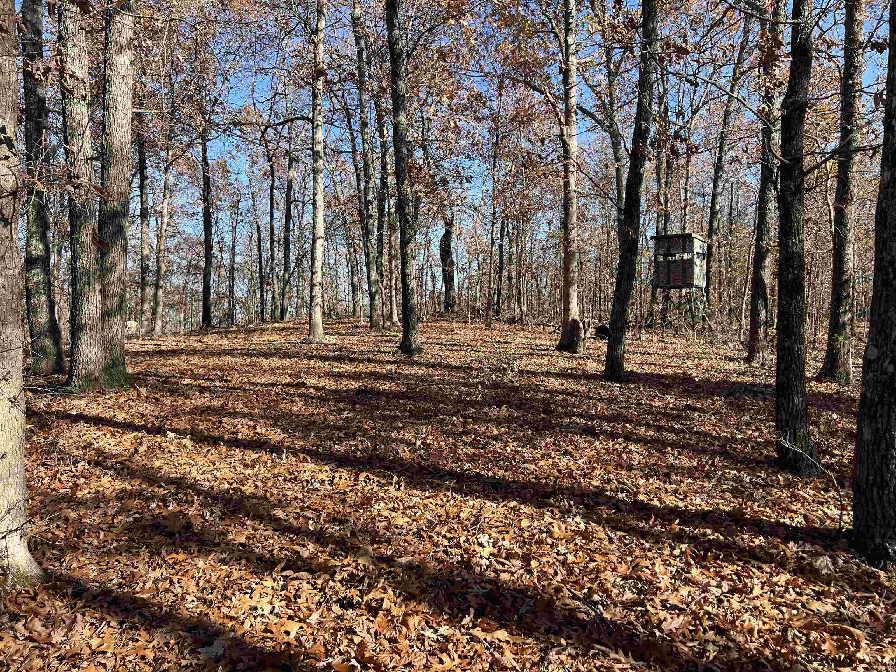 566 Bethany  Ravenden, AR