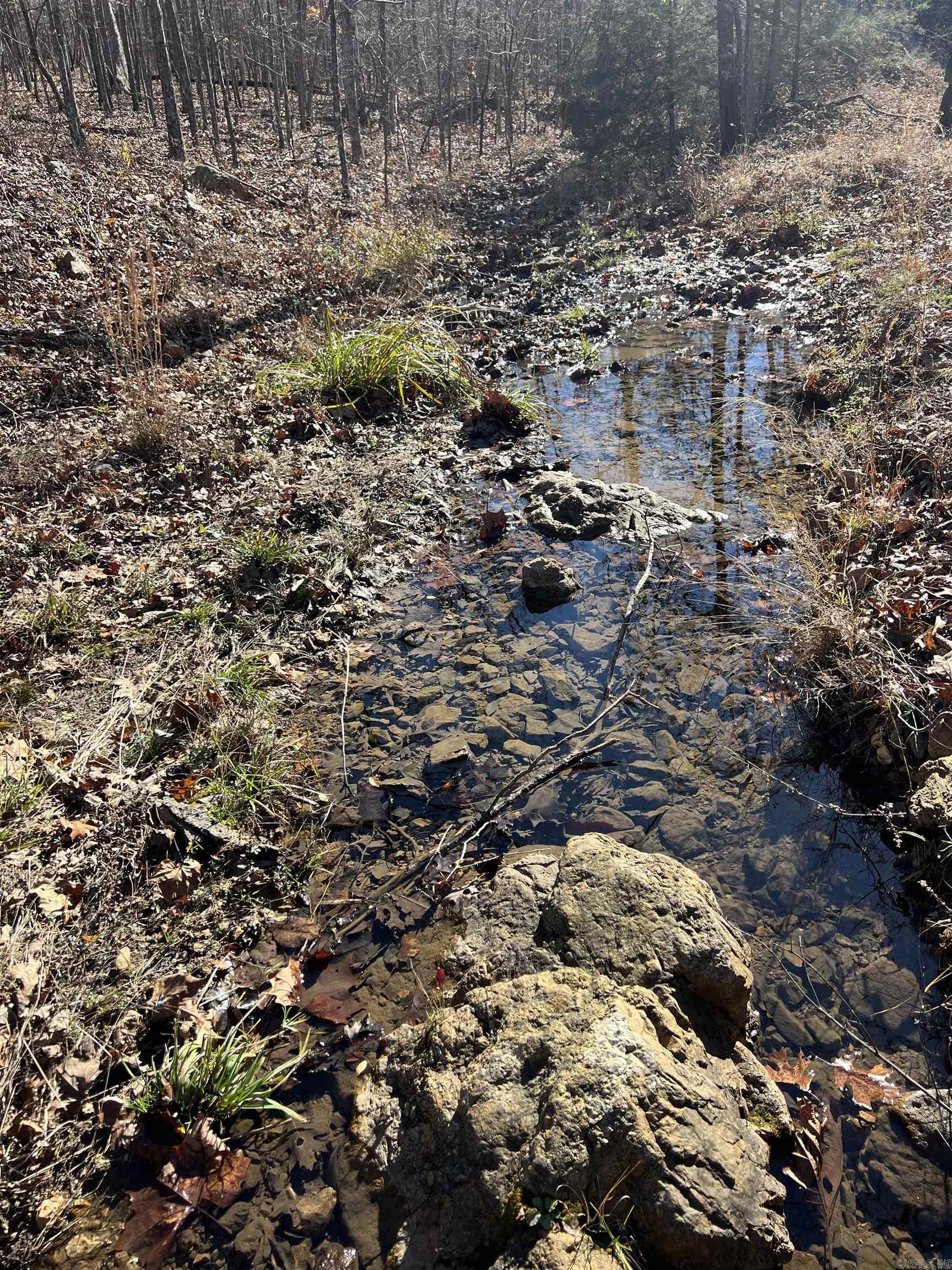 566 Bethany  Ravenden, AR