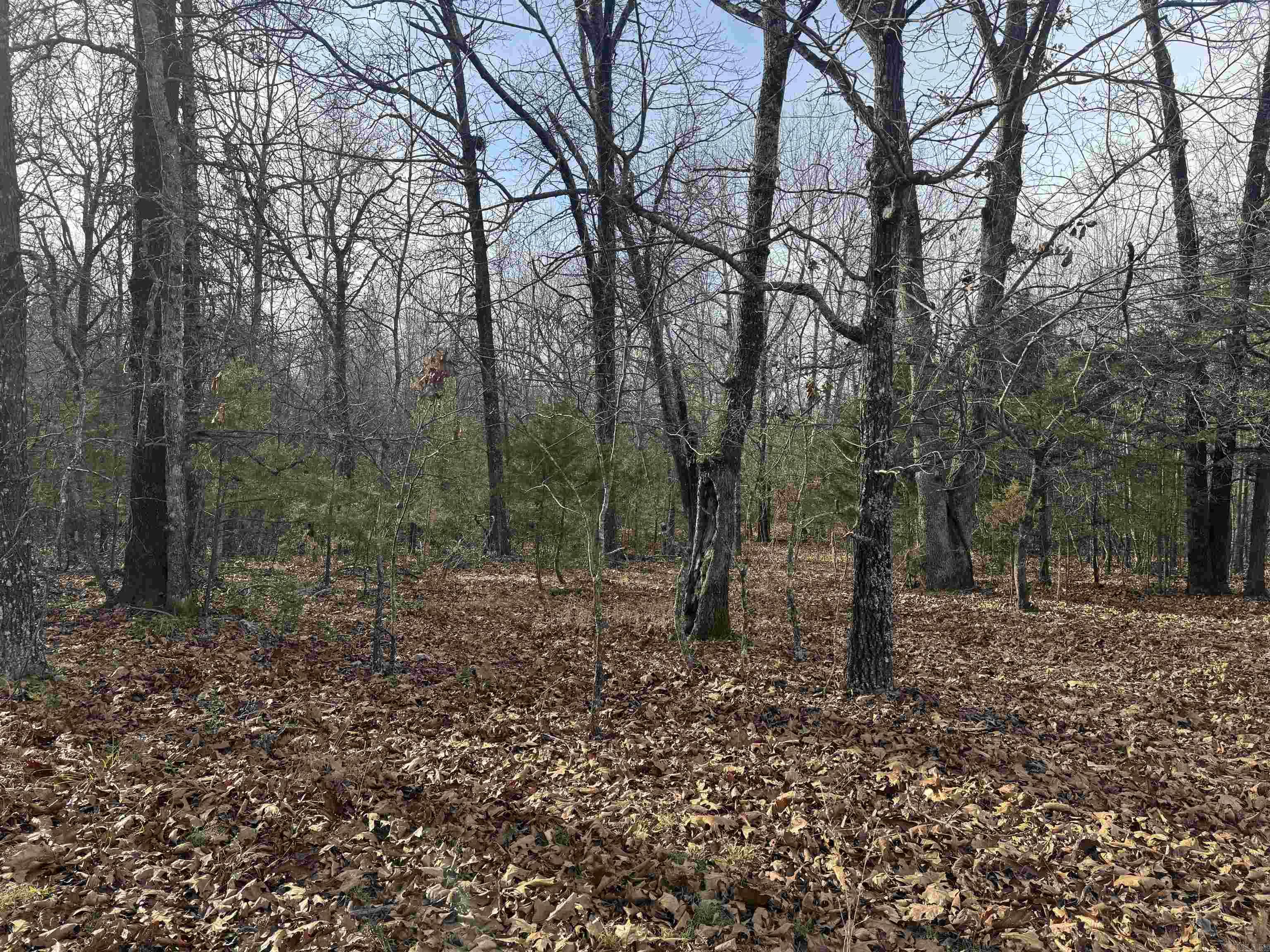 2390 MC 2061  Lead Hill, AR