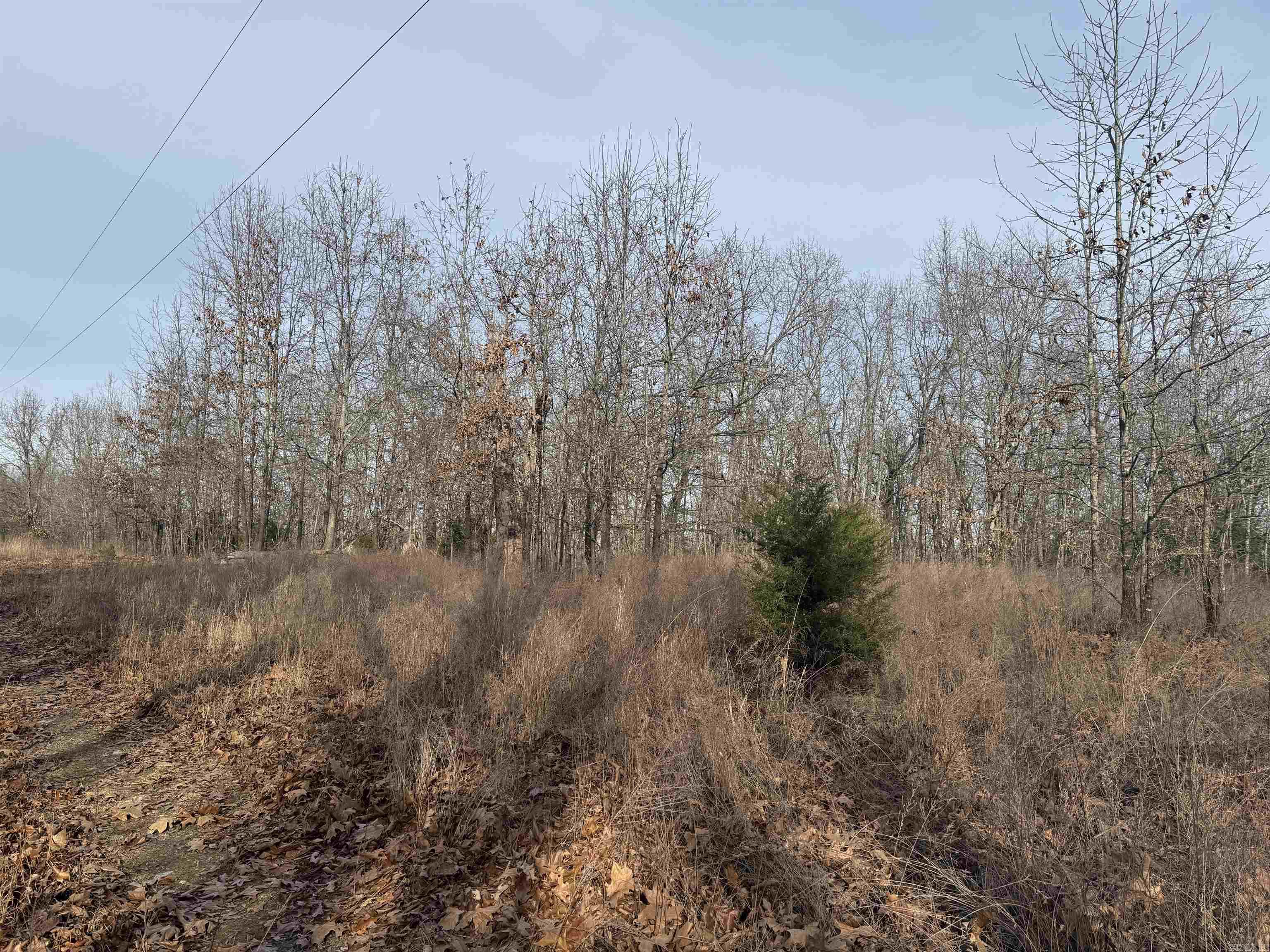 2390 MC 2061  Lead Hill, AR