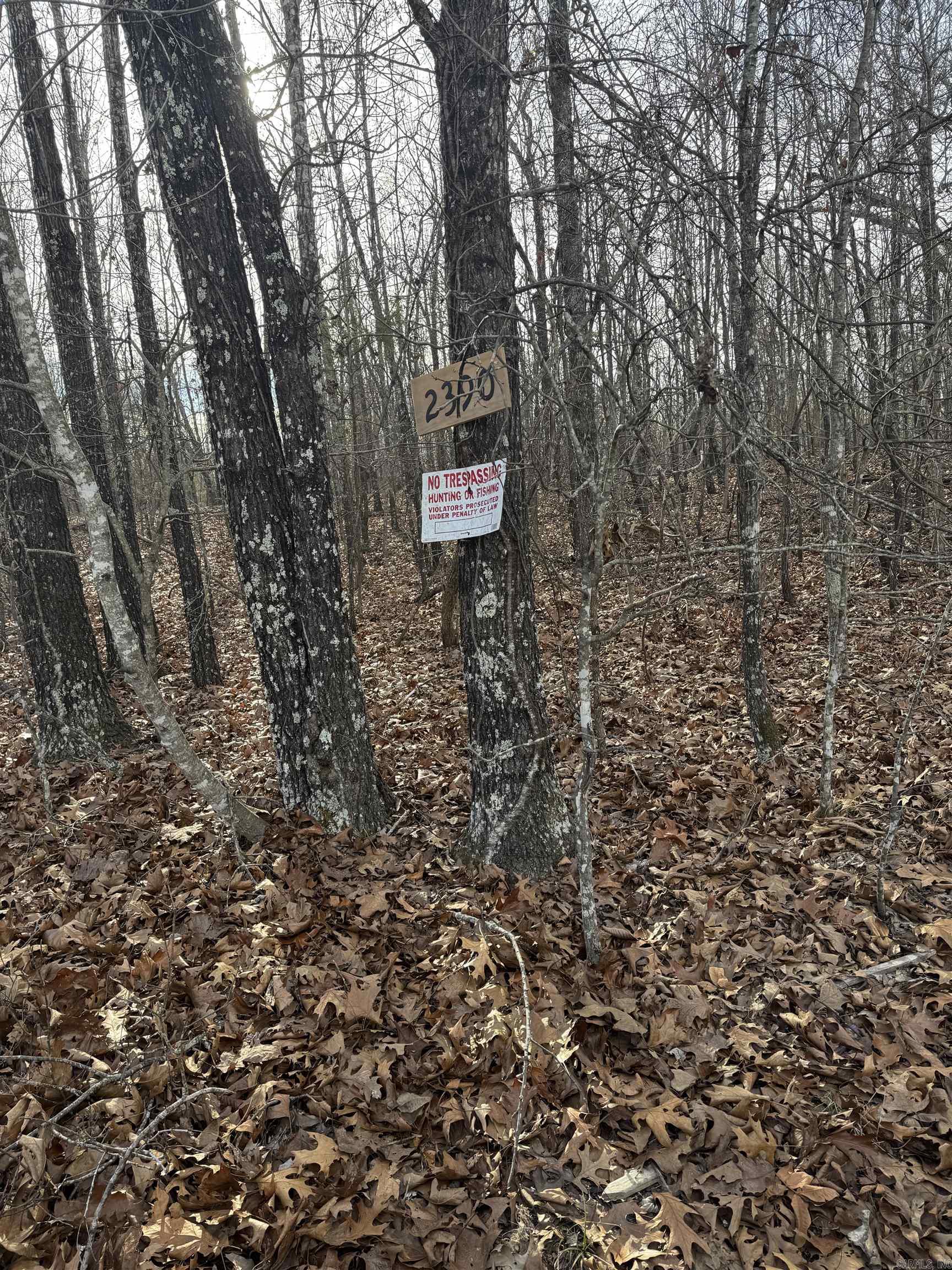 2390 MC 2061  Lead Hill, AR