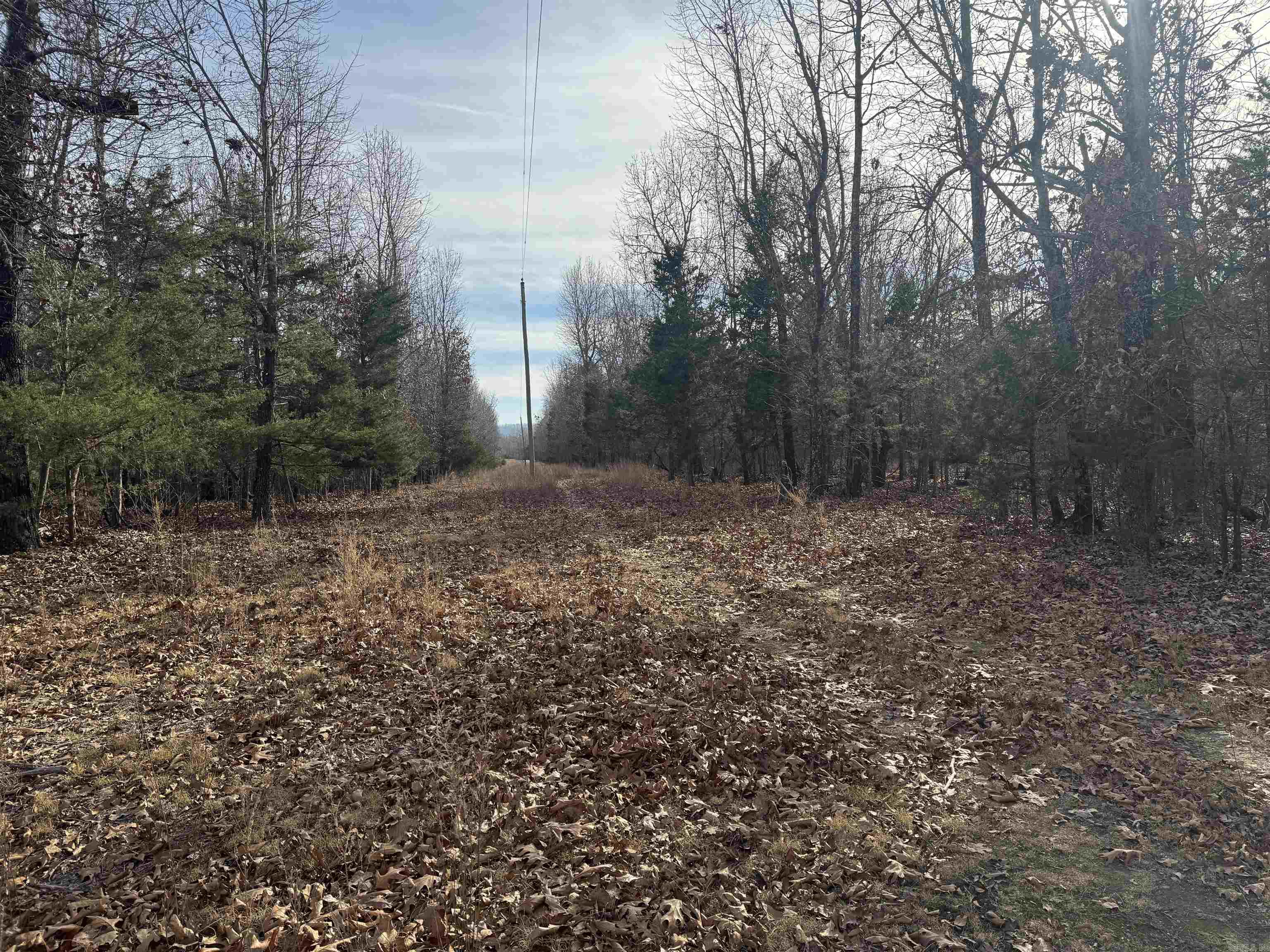 2390 MC 2061  Lead Hill, AR