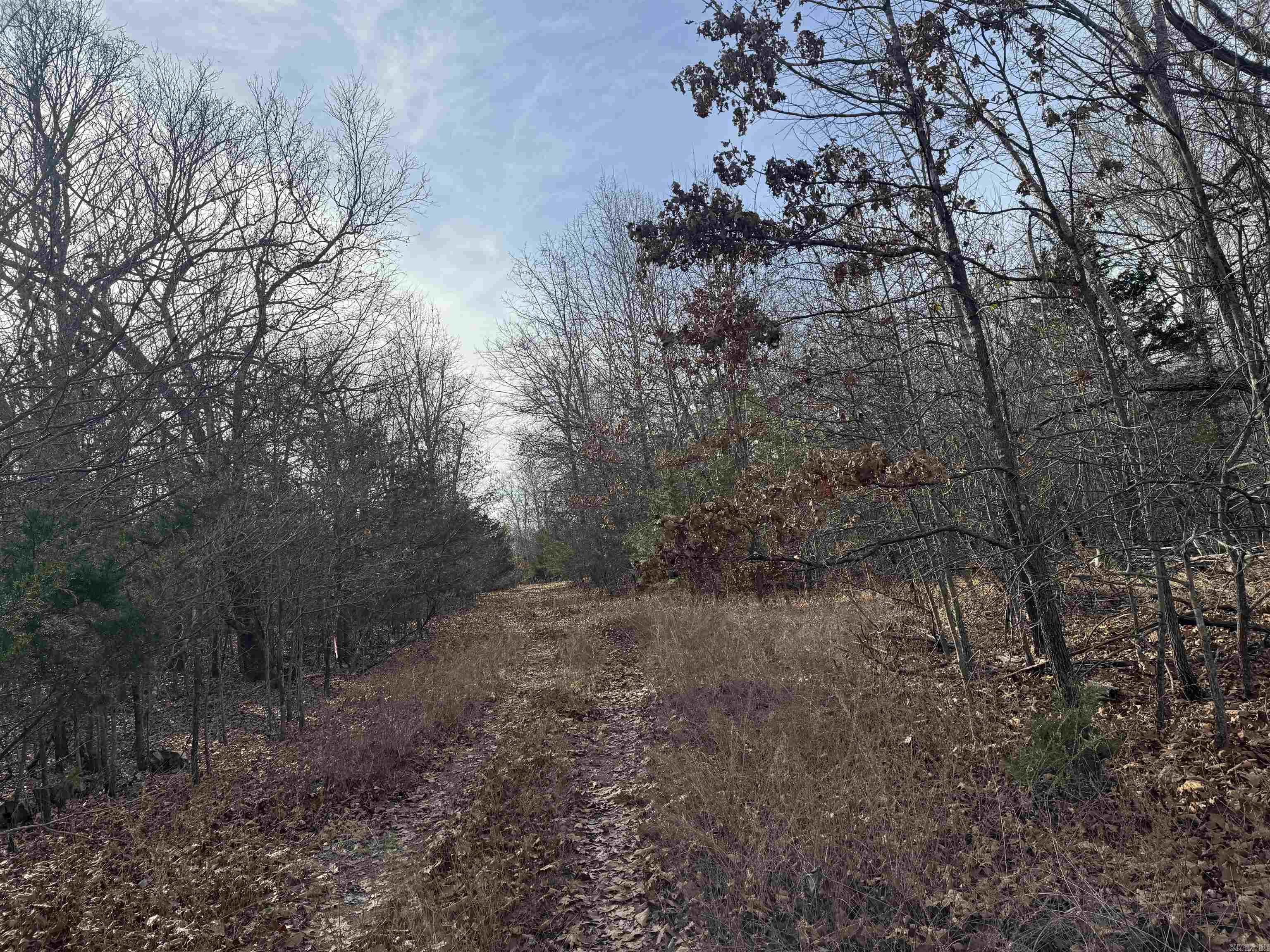 2390 MC 2061  Lead Hill, AR