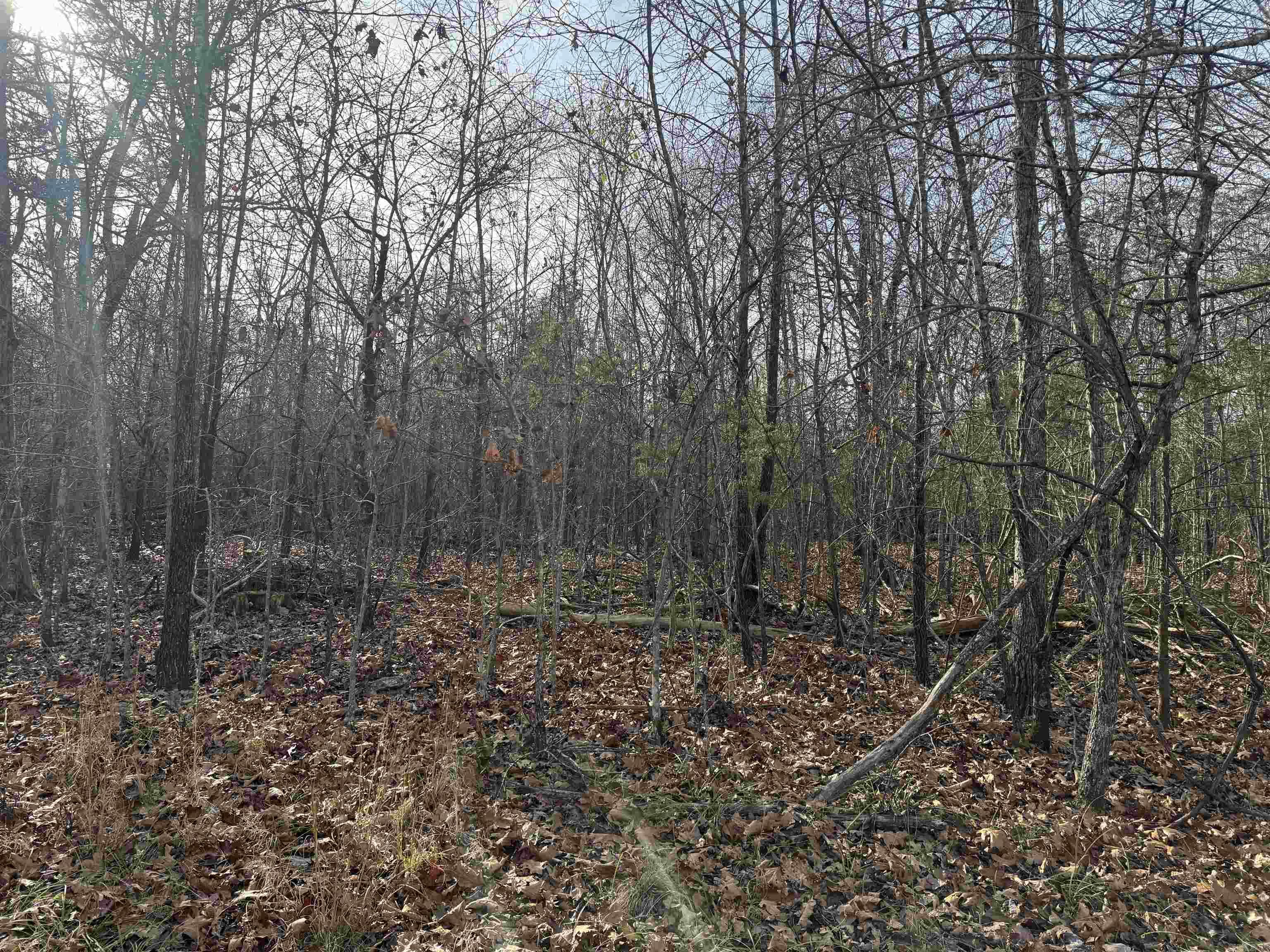 2390 MC 2061  Lead Hill, AR