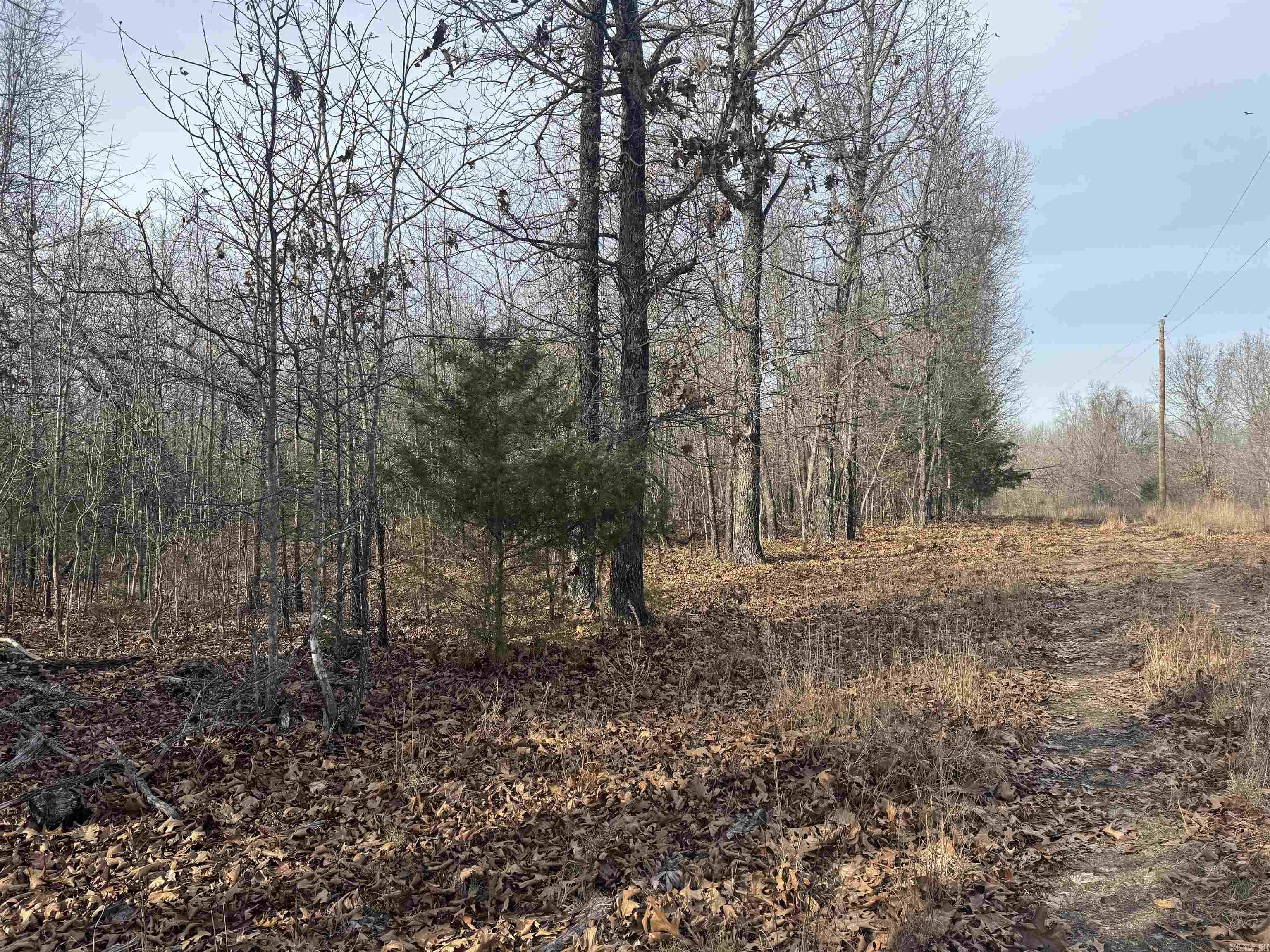 2390 MC 2061  Lead Hill, AR