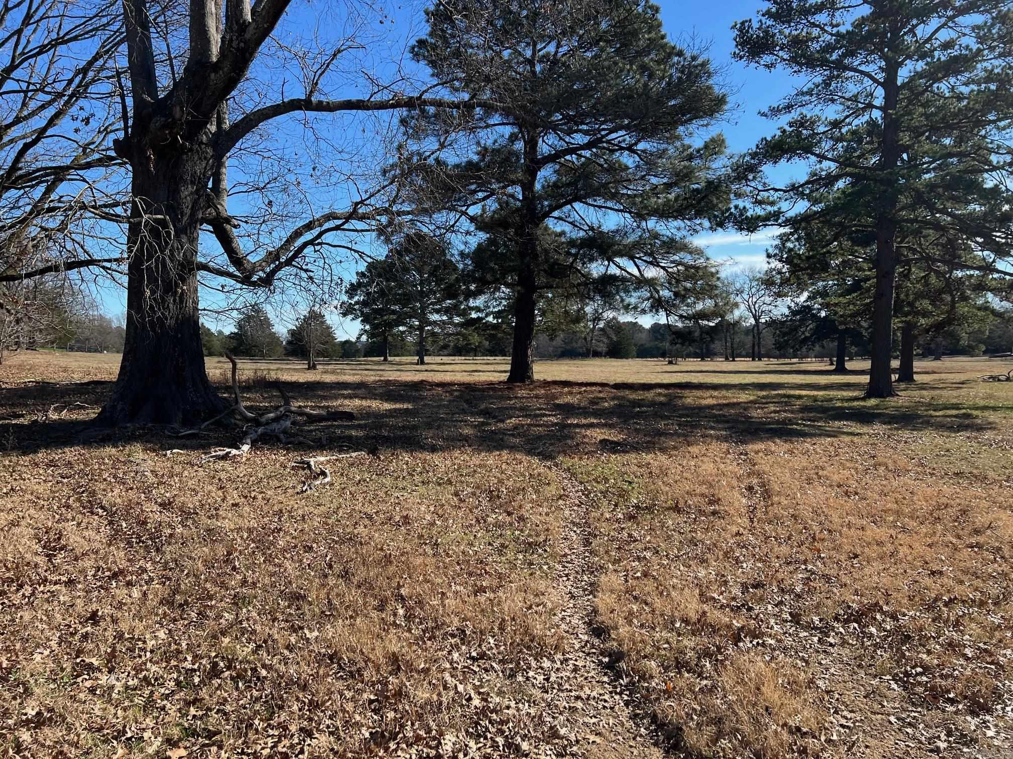 50 Taylor Circle  Conway, AR