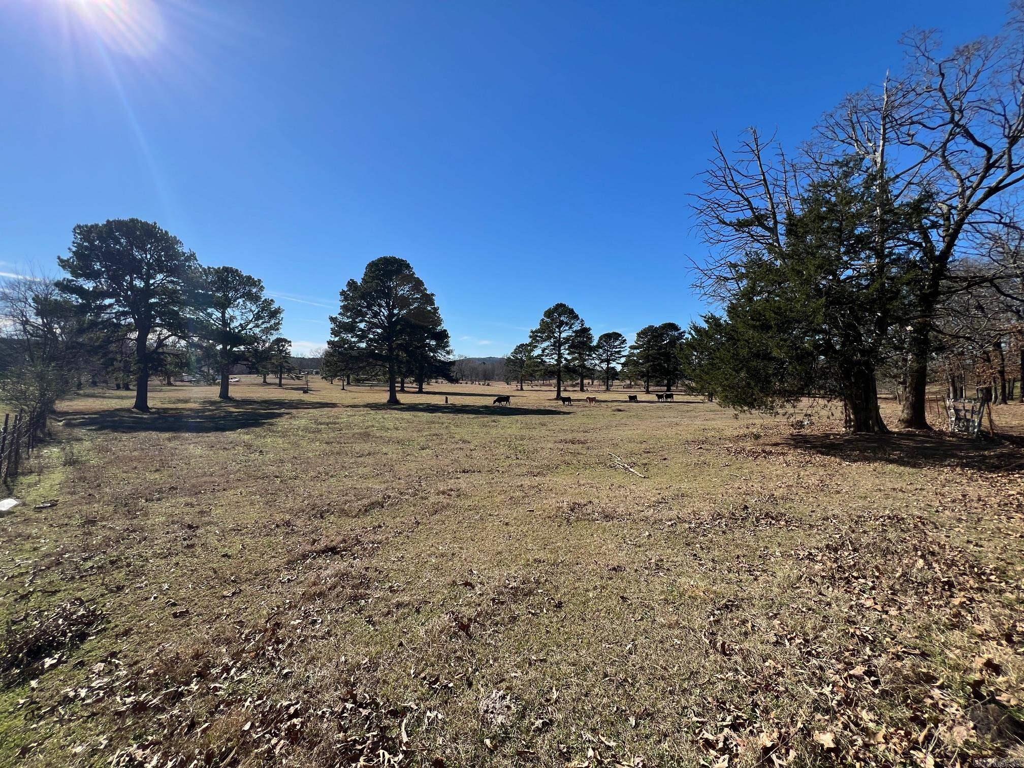 50 Taylor Circle  Conway, AR