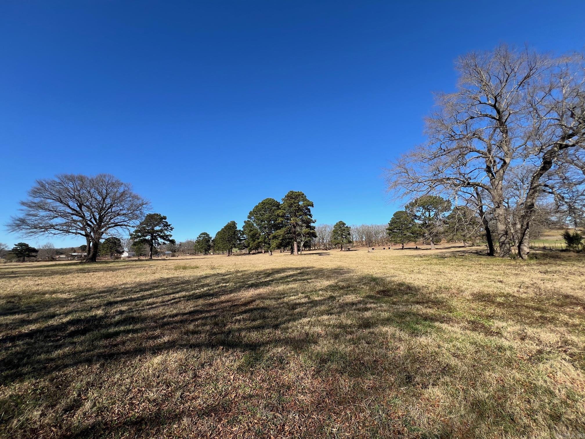 50 Taylor Circle  Conway, AR