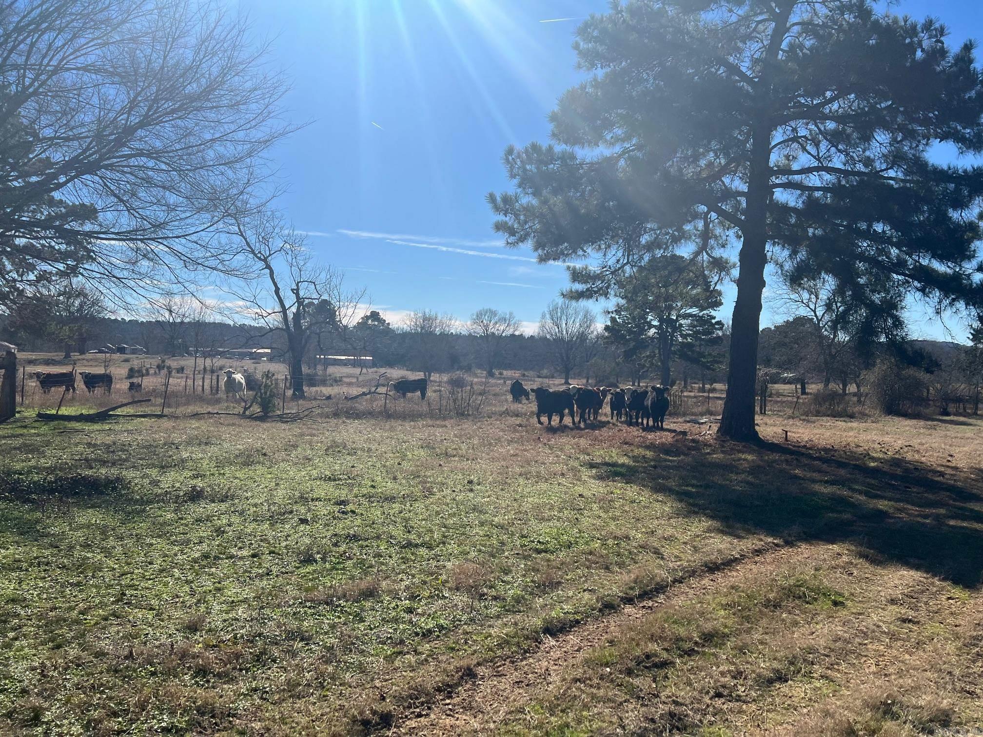 50 Taylor Circle  Conway, AR