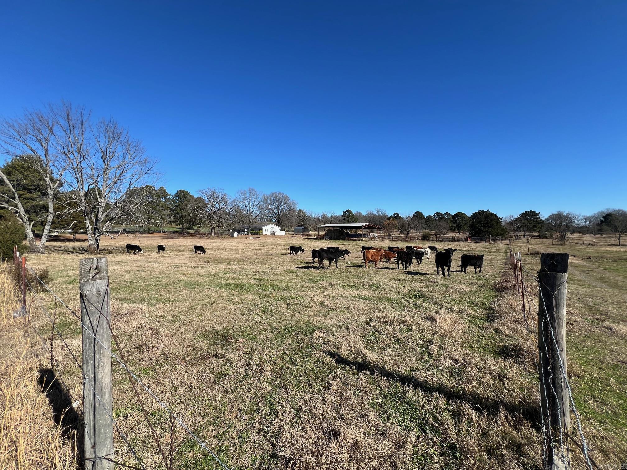 50 Taylor Circle  Conway, AR