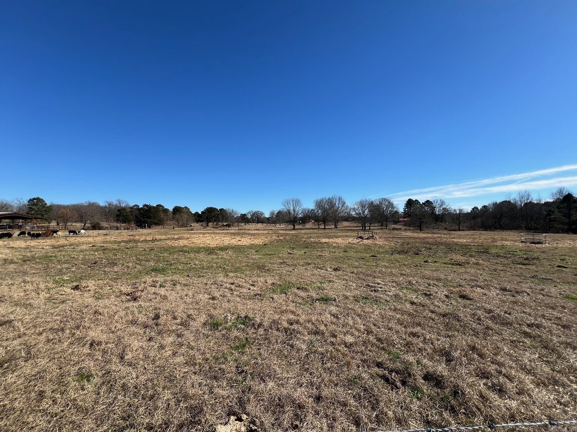 50 Taylor Circle  Conway, AR