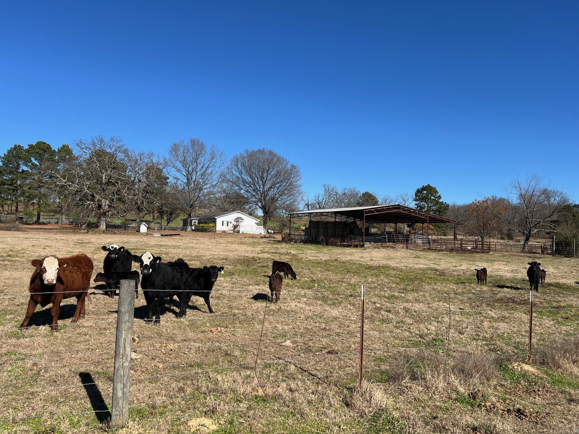 50 Taylor Circle  Conway, AR