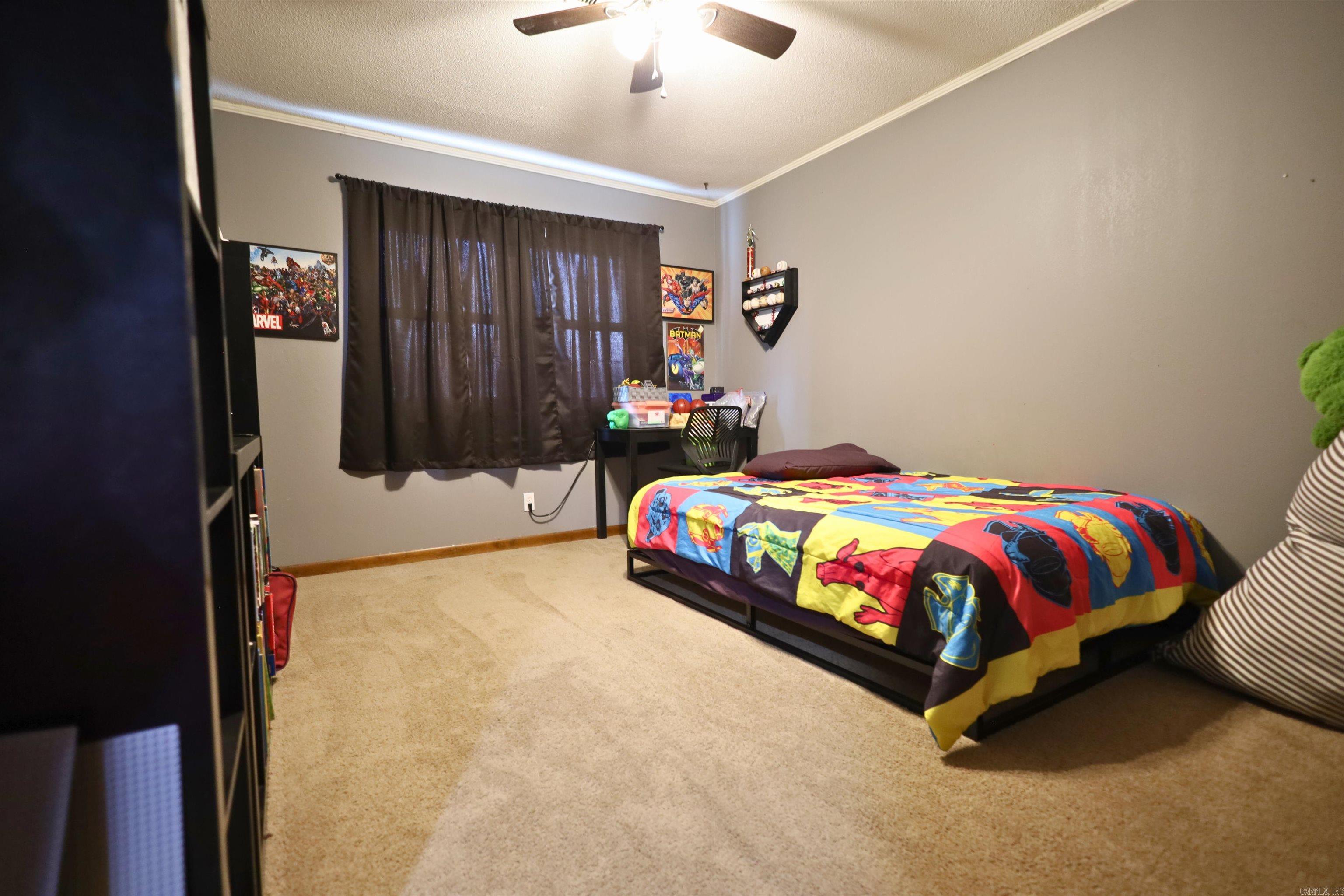 100 Logan Lane Corning, AR 72422