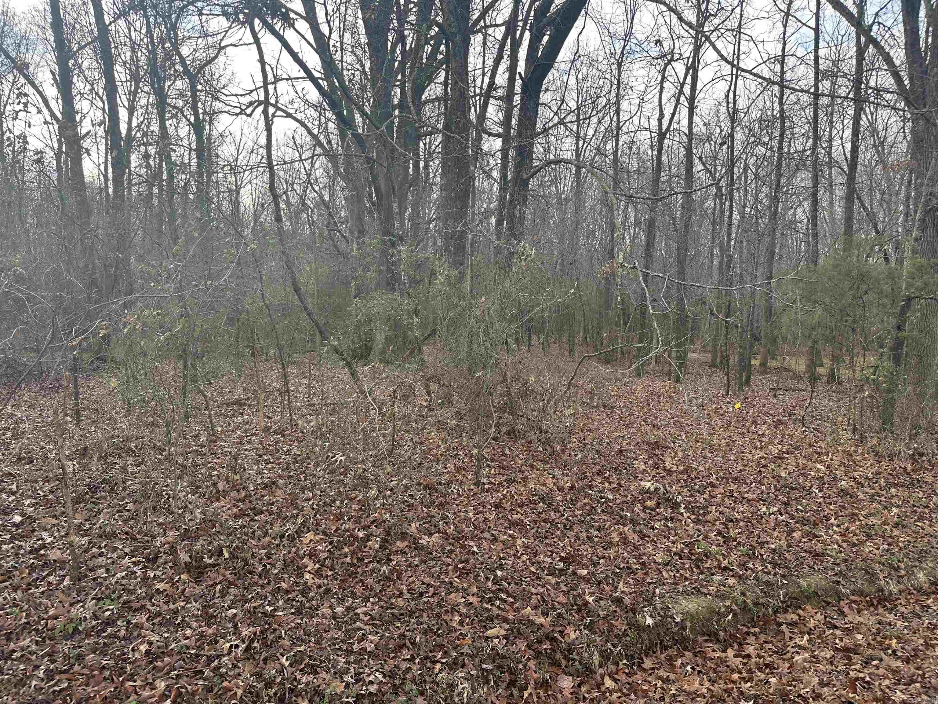 Lots 44 &45 Broadmoor  Cabot, AR