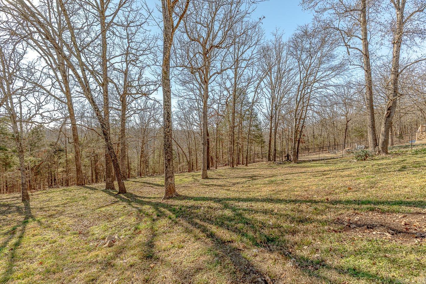 10 Catawba Circle  Cherokee Village, AR