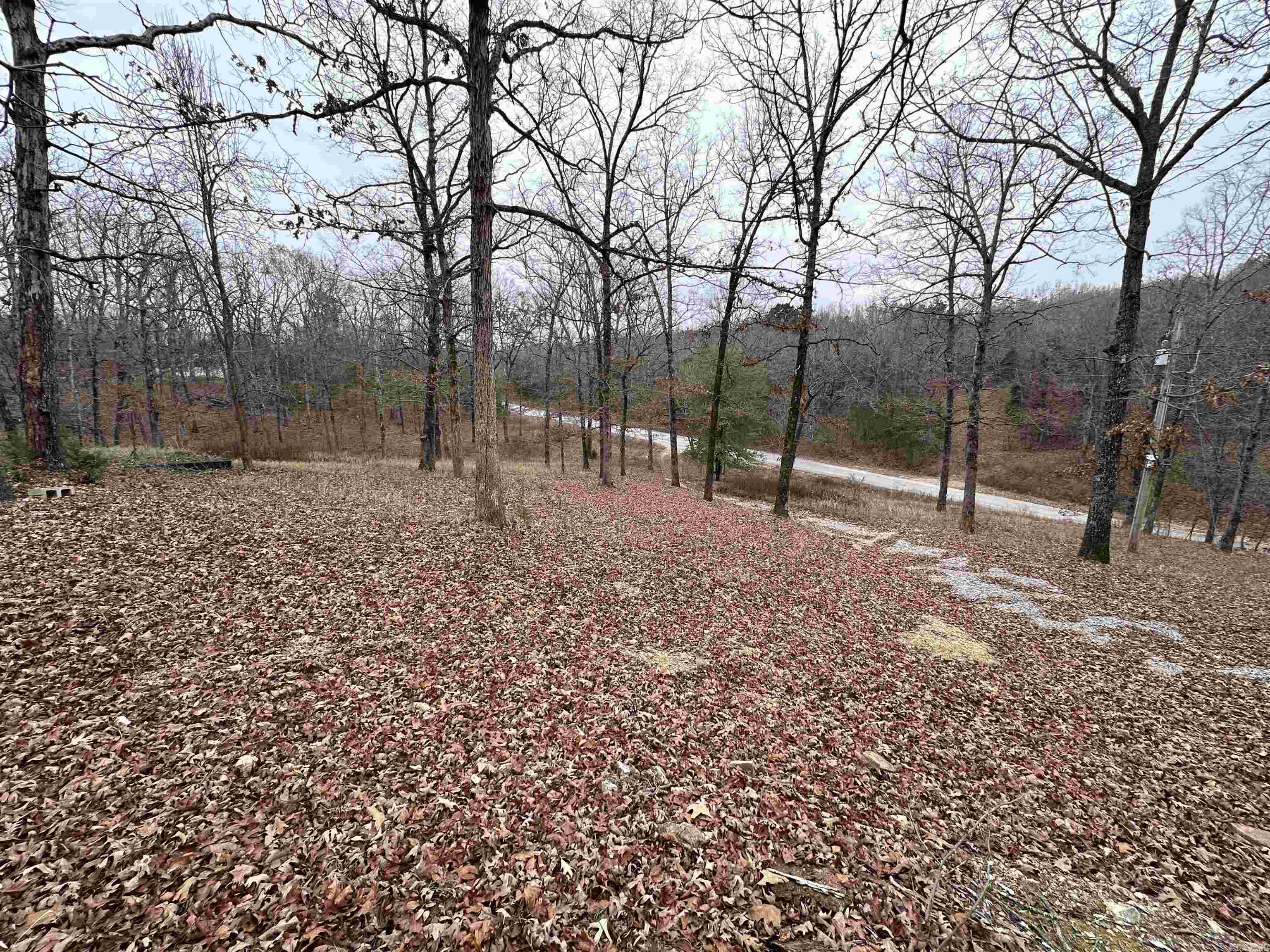 1290 Cave Creek Rd  Batesville, AR