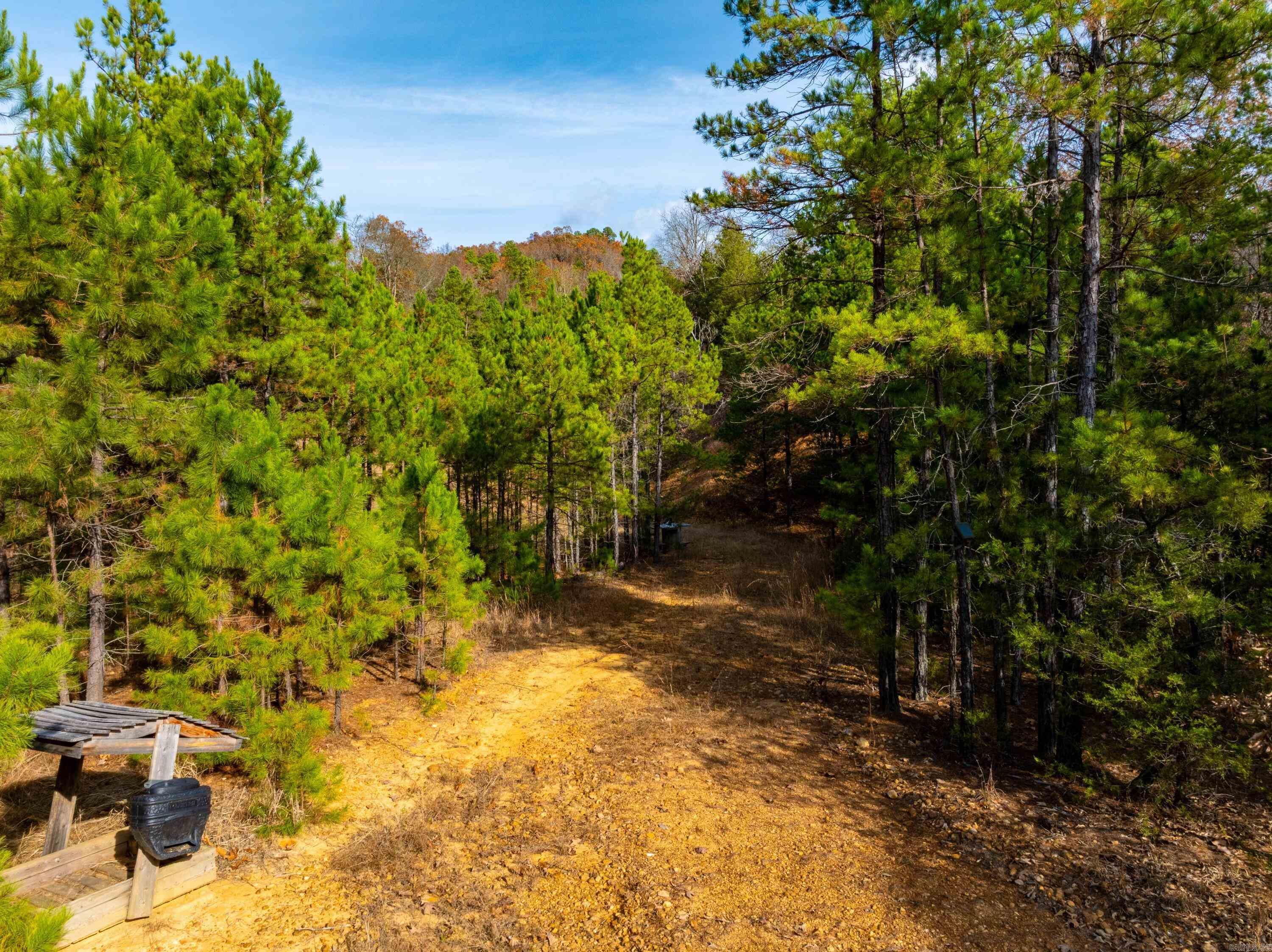 5198 N Boswell Rd  Calico Rock, AR