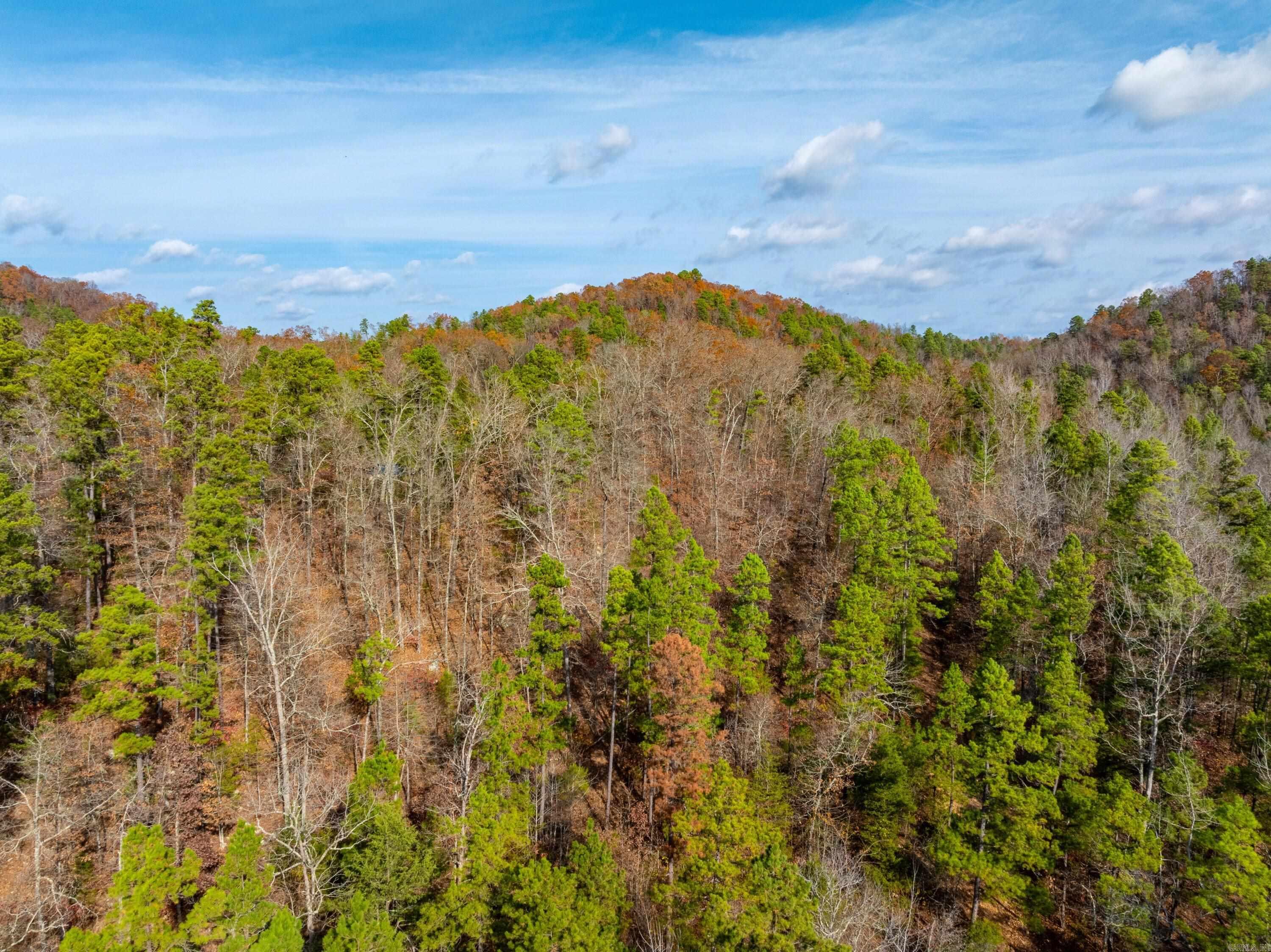 5198 N Boswell Rd  Calico Rock, AR