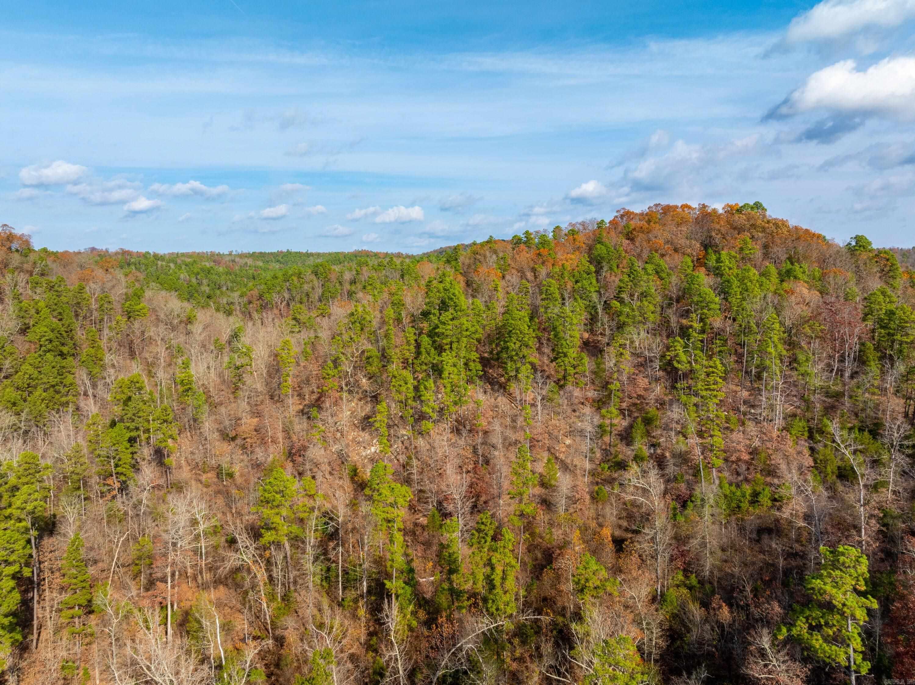 5198 N Boswell Rd  Calico Rock, AR