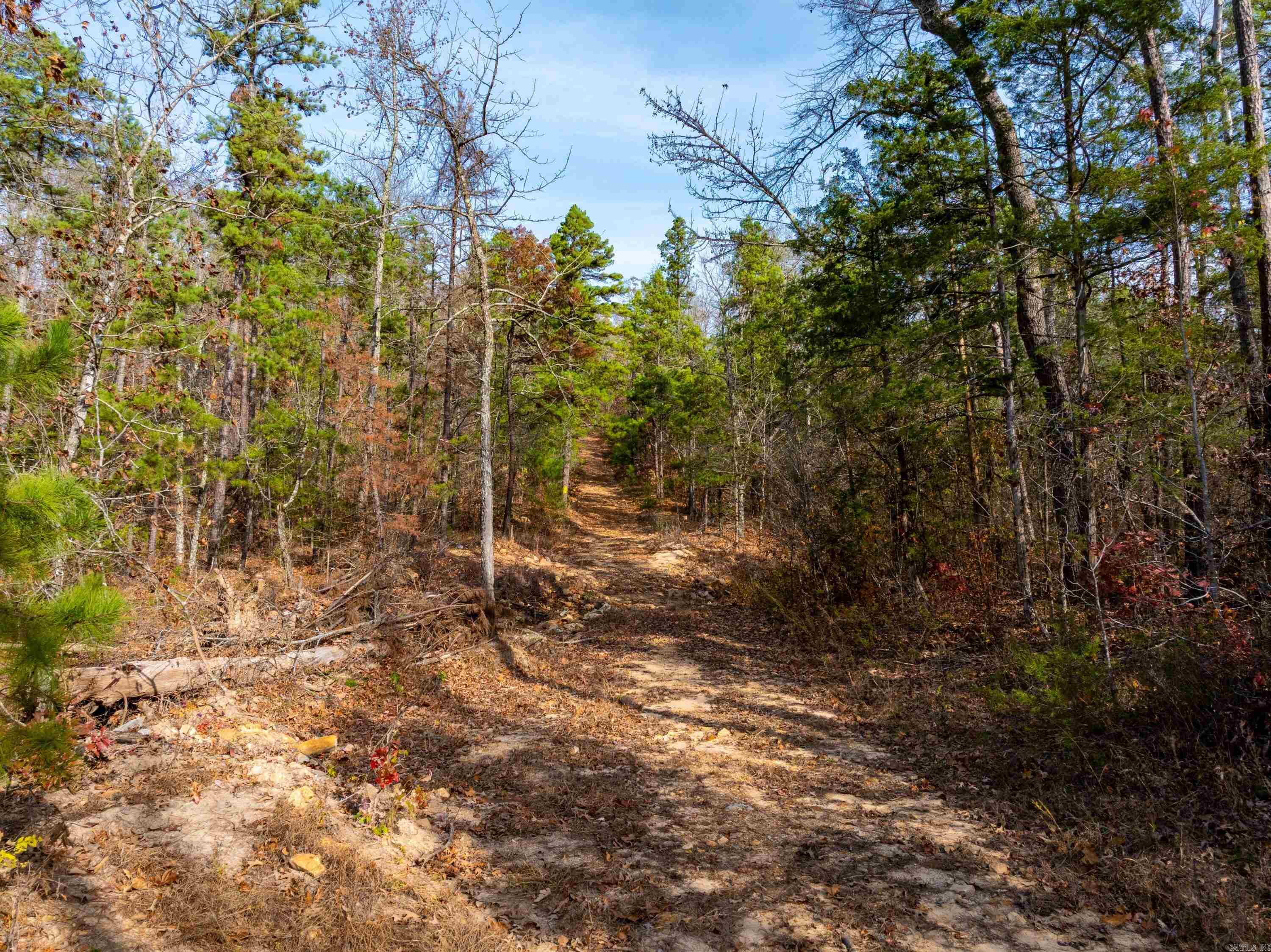 5198 N Boswell Rd  Calico Rock, AR