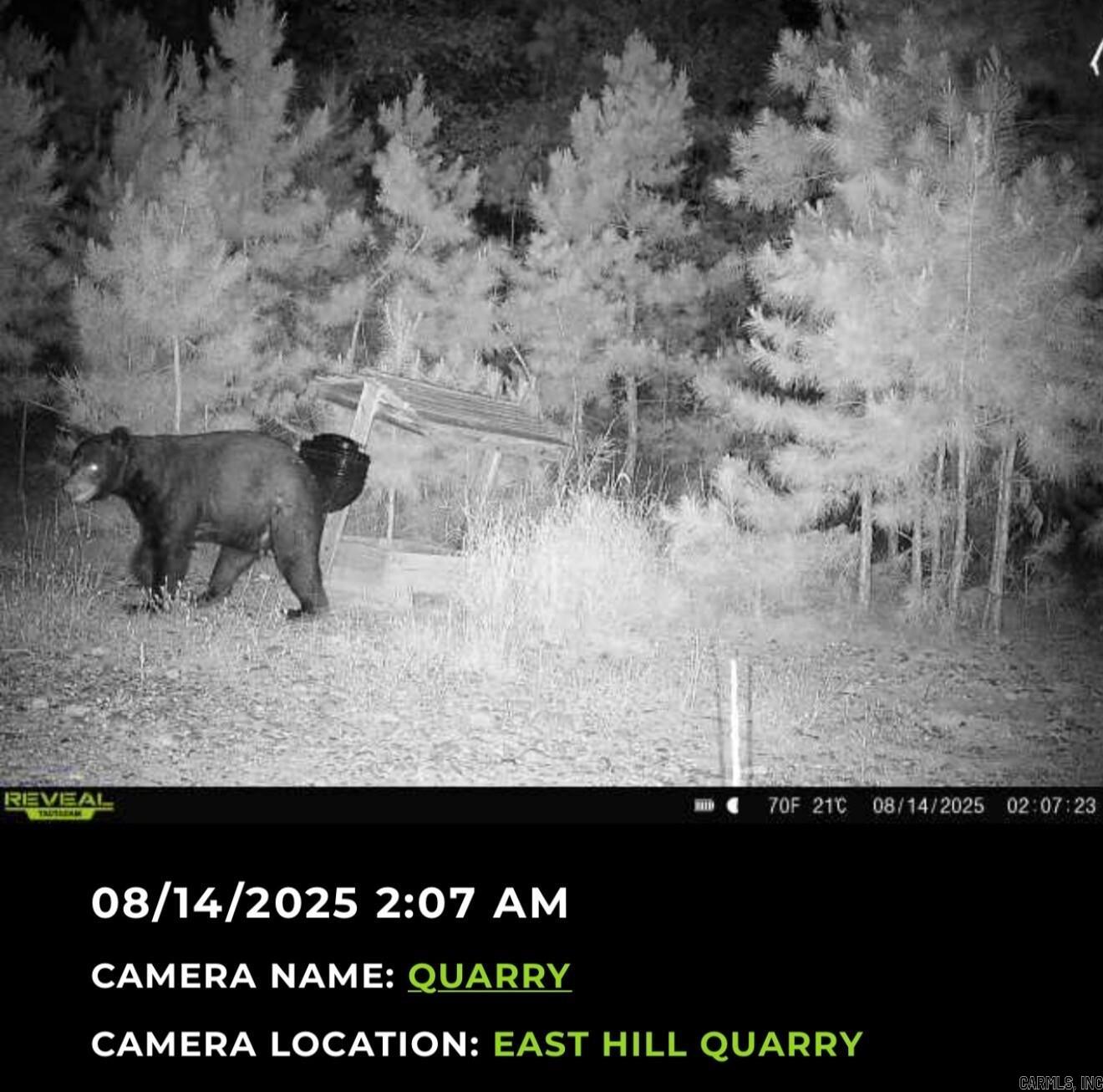 5198 N Boswell Rd  Calico Rock, AR