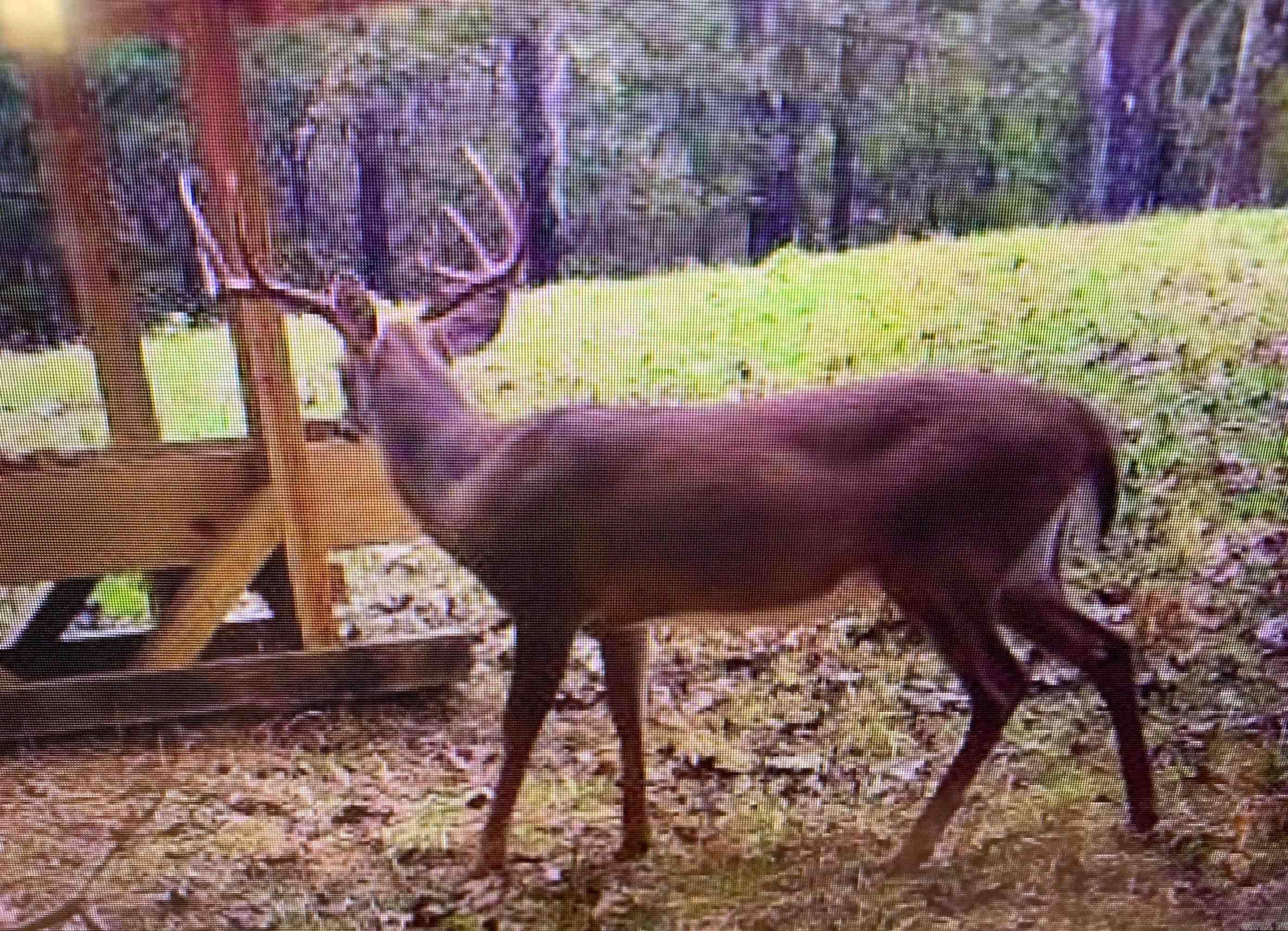 55, 65, & 125 B Rock Ln  Batesville, AR