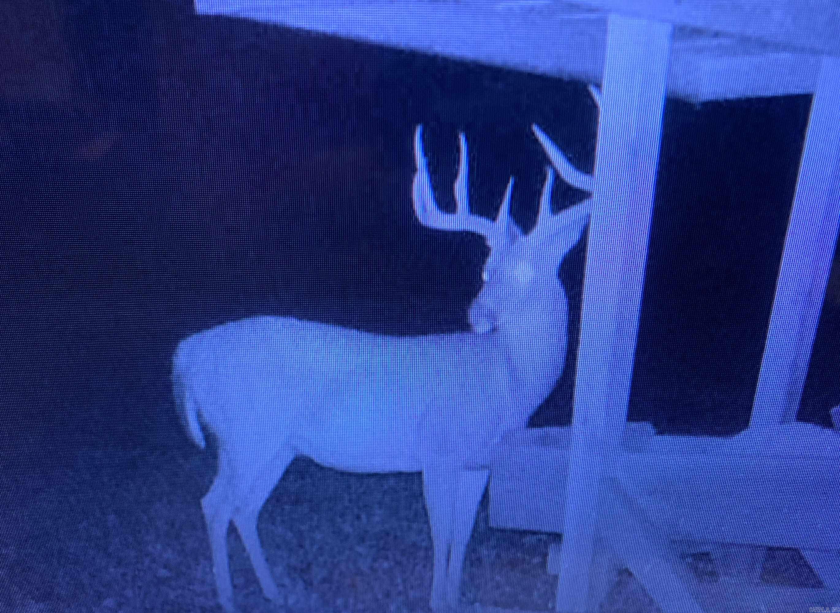 55, 65, & 125 B Rock Ln  Batesville, AR