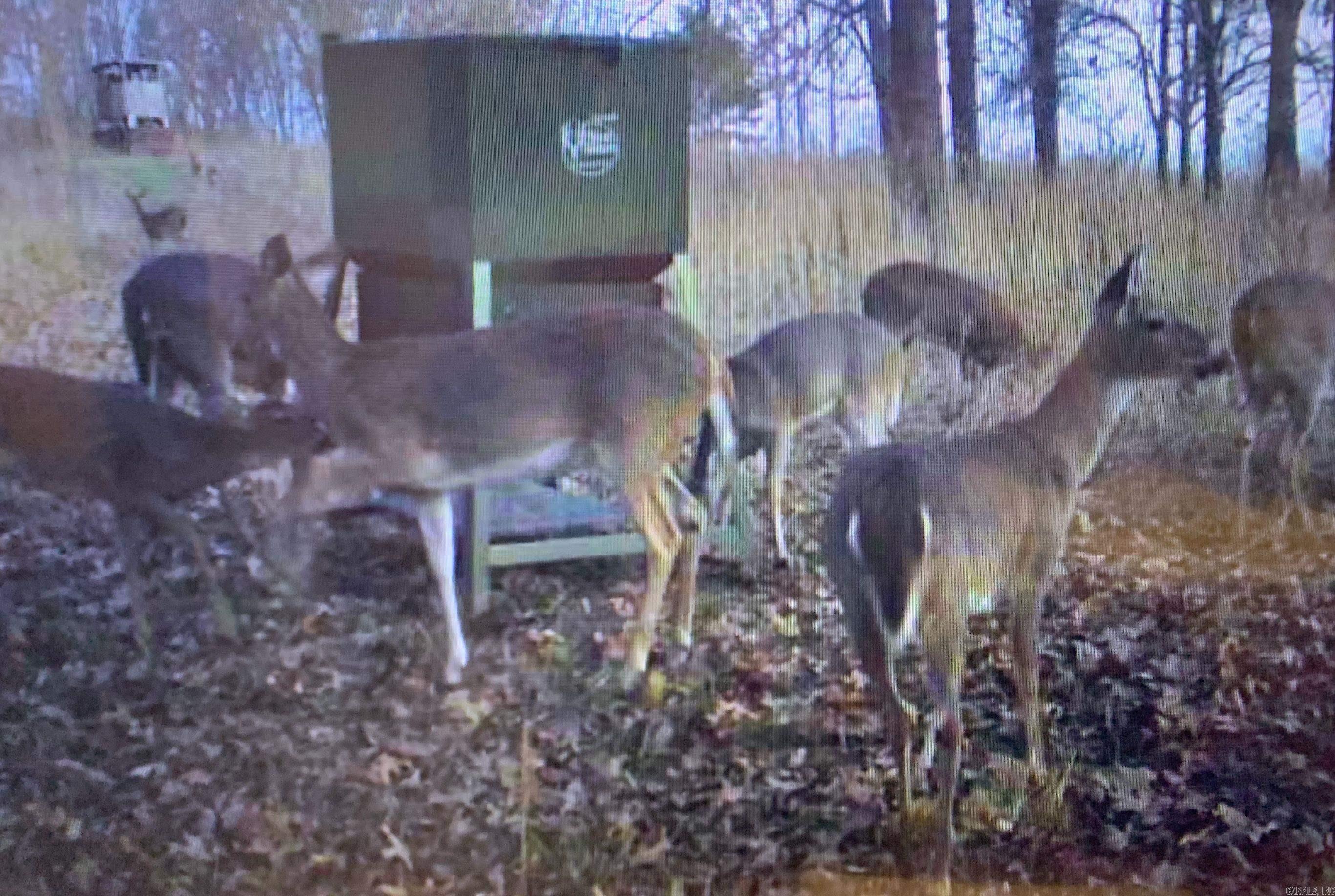 55, 65, & 125 B Rock Ln  Batesville, AR