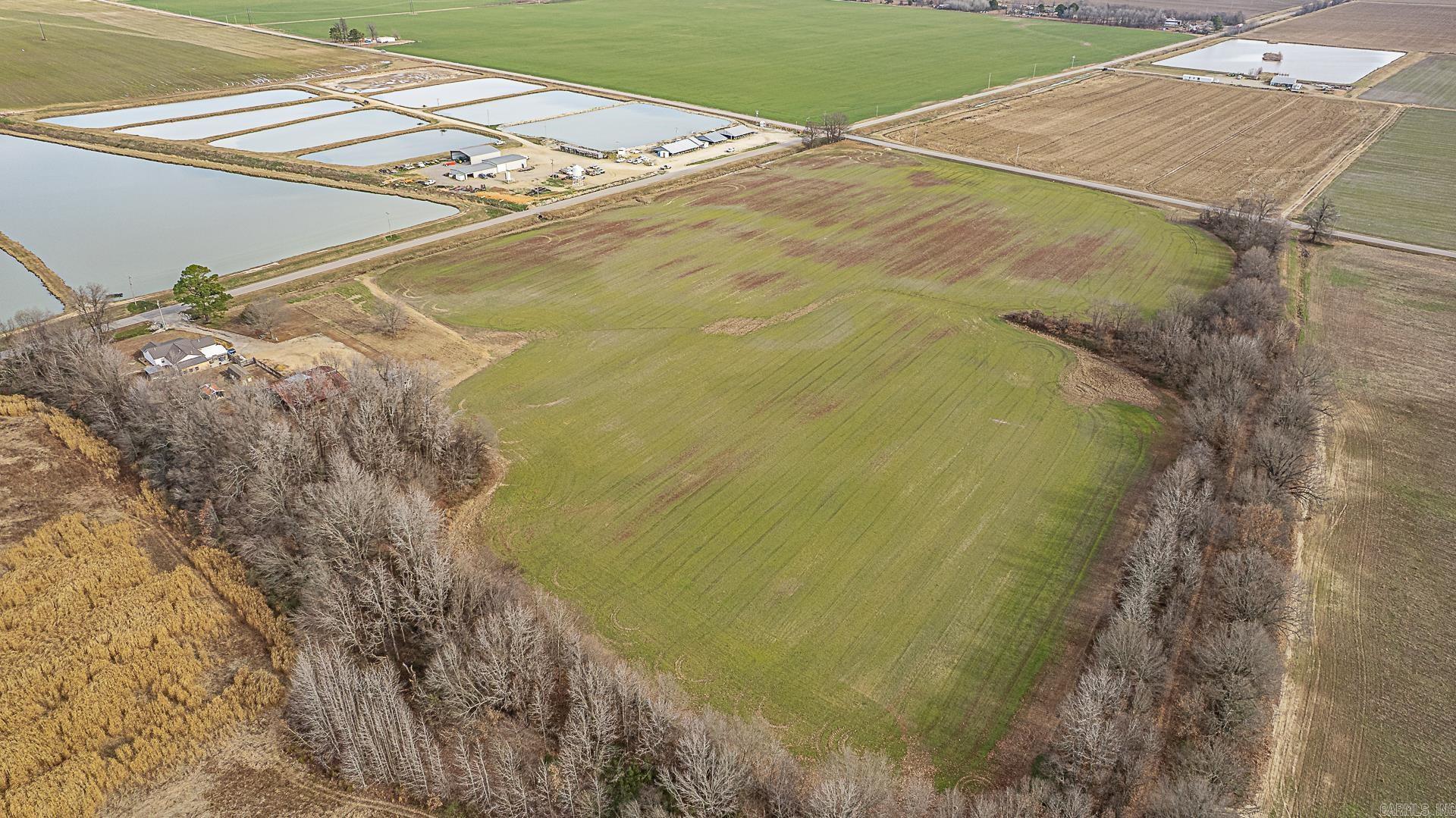  Bard Rd  Paragould, AR